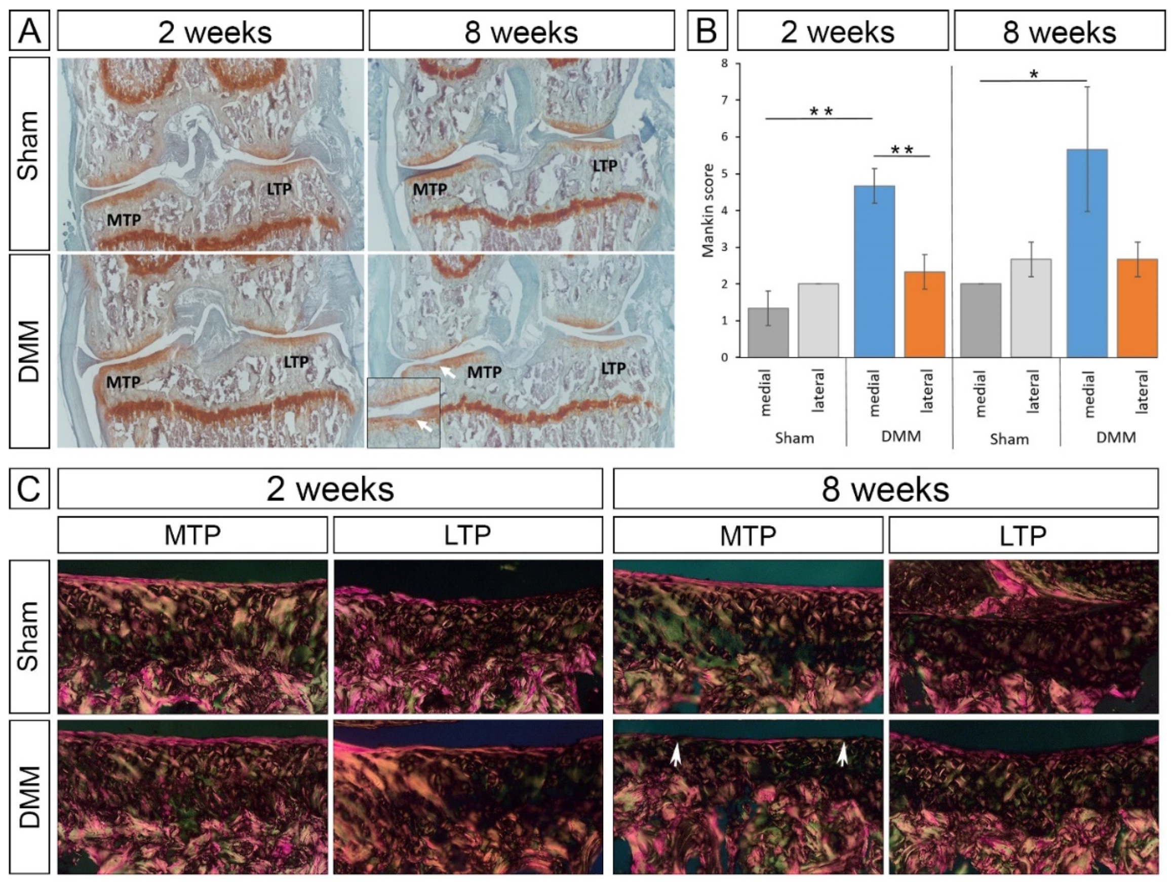 Applsci 12 02596 g001