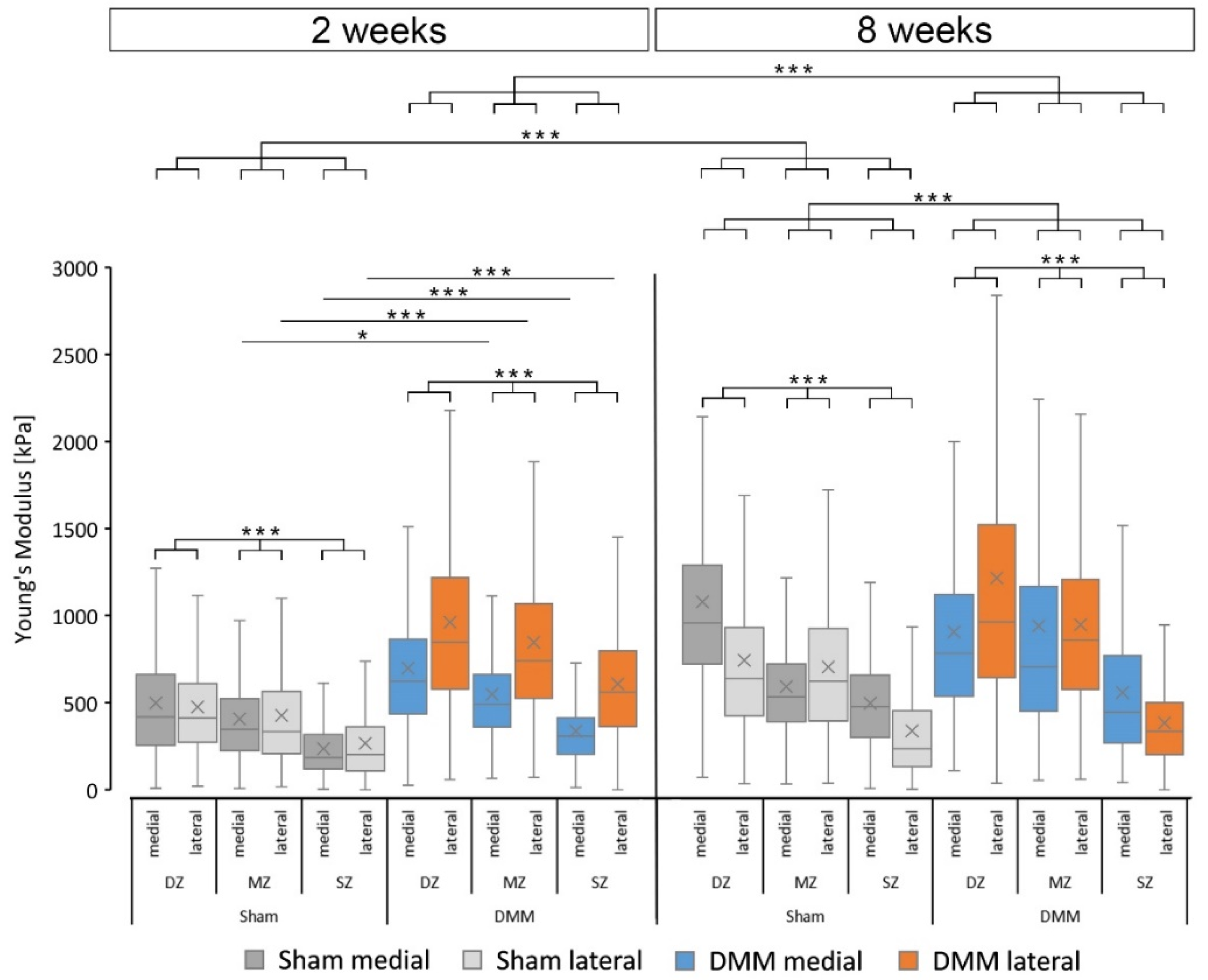 Applsci 12 02596 g004