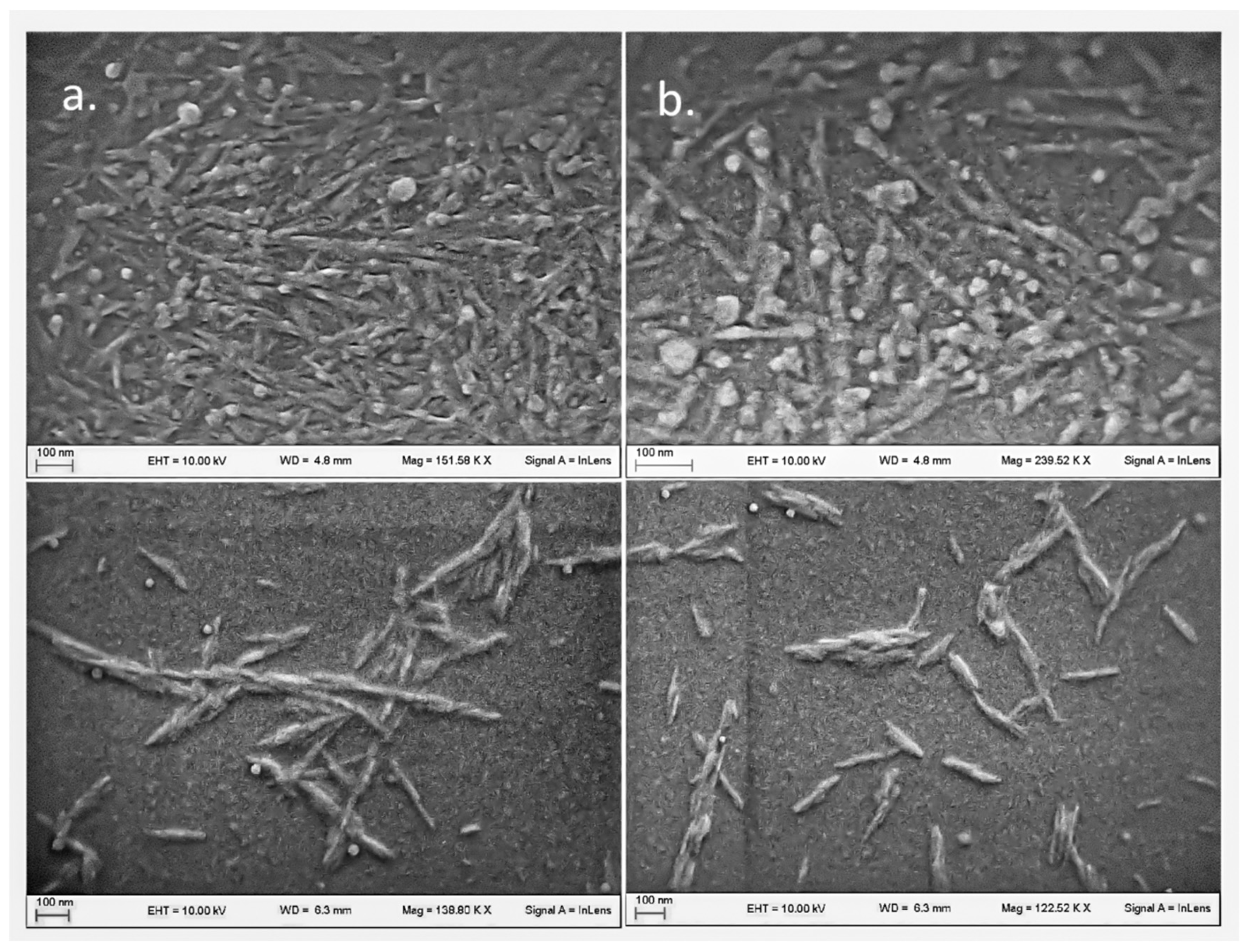 Applsci 12 02604 g005