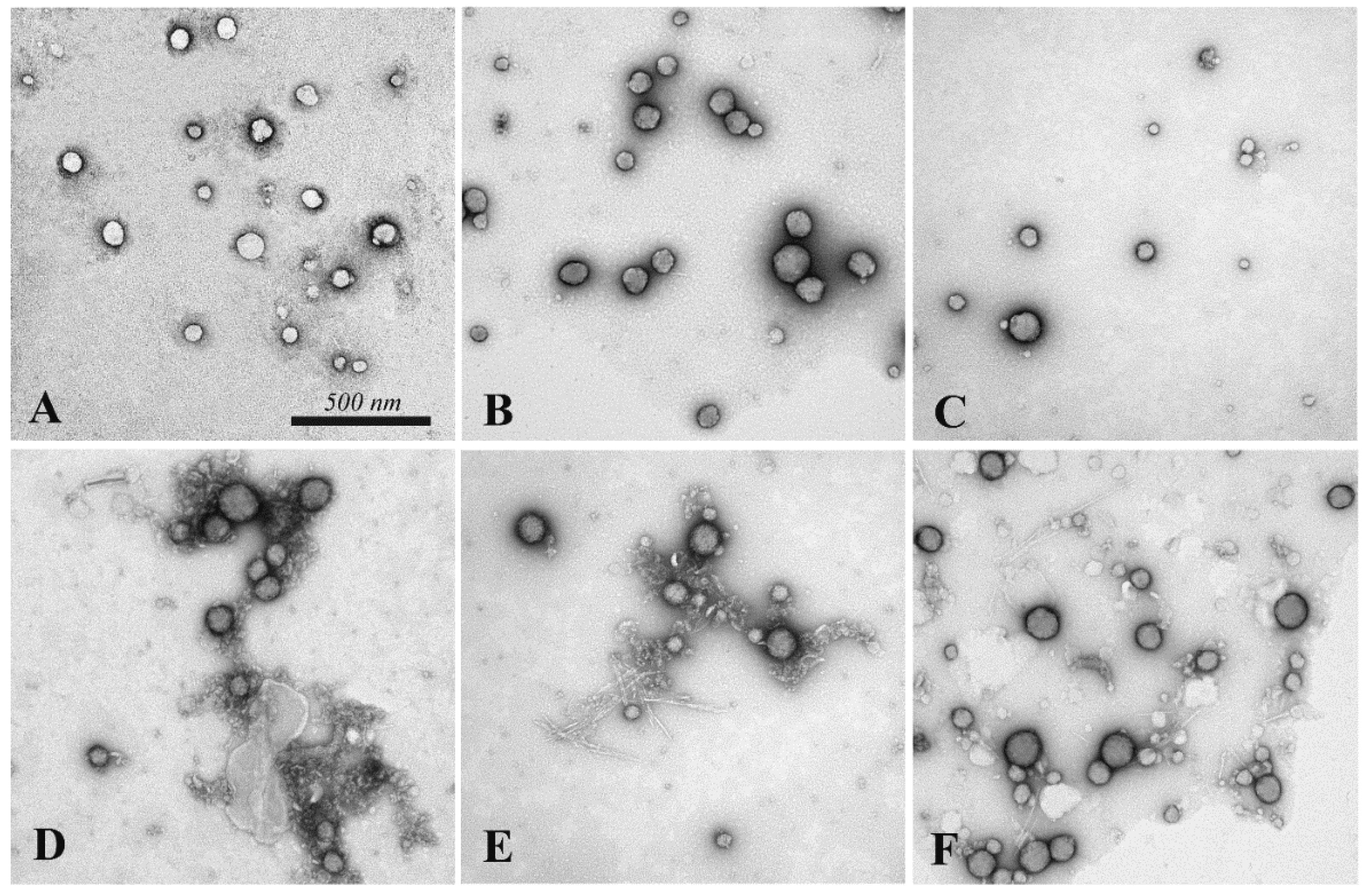 Applsci 12 02604 g007