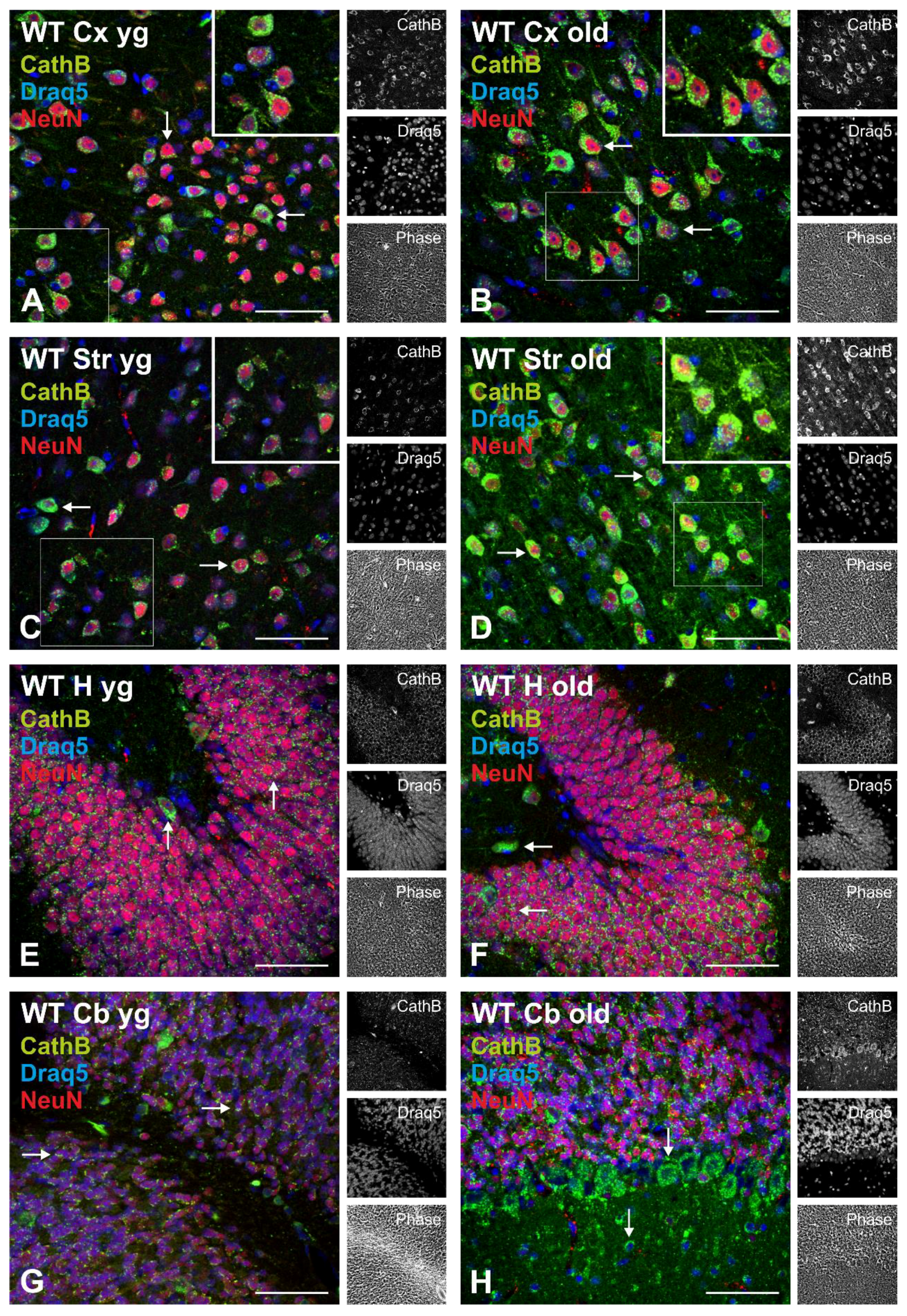 Applsci 12 02608 g001