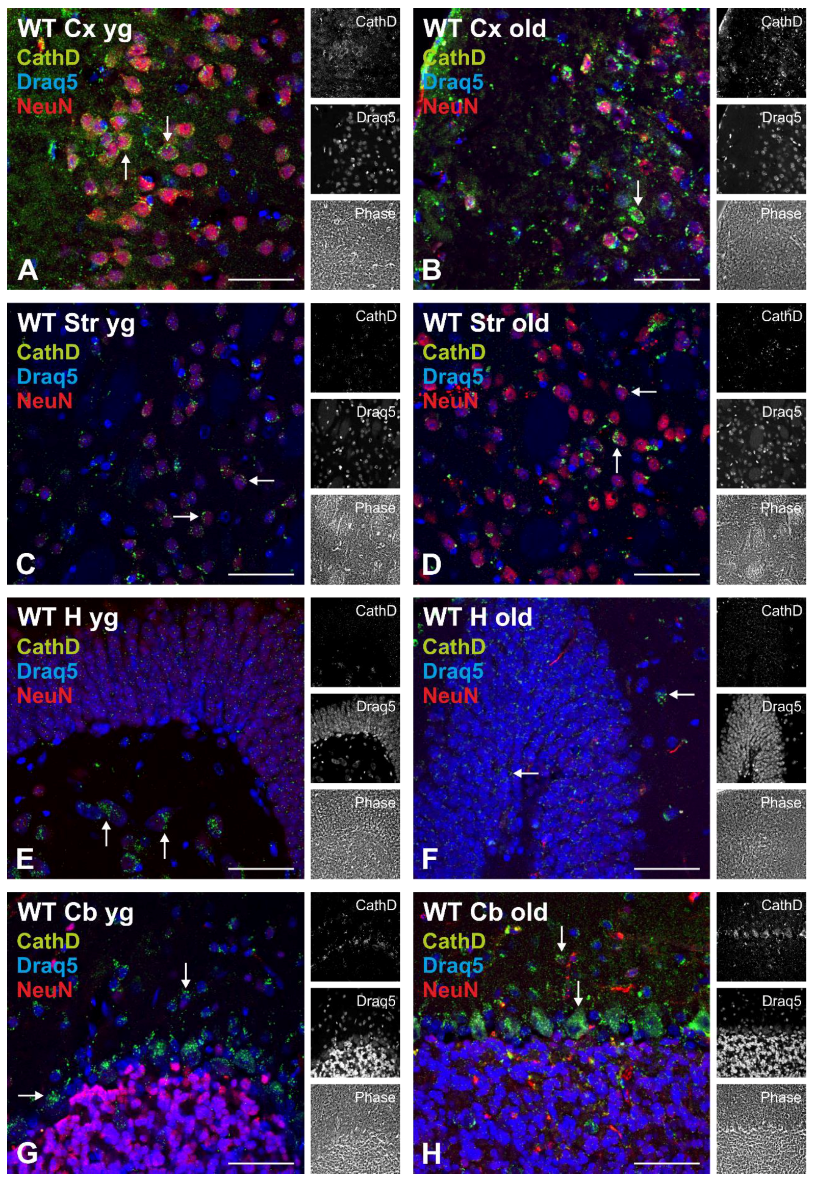 Applsci 12 02608 g002