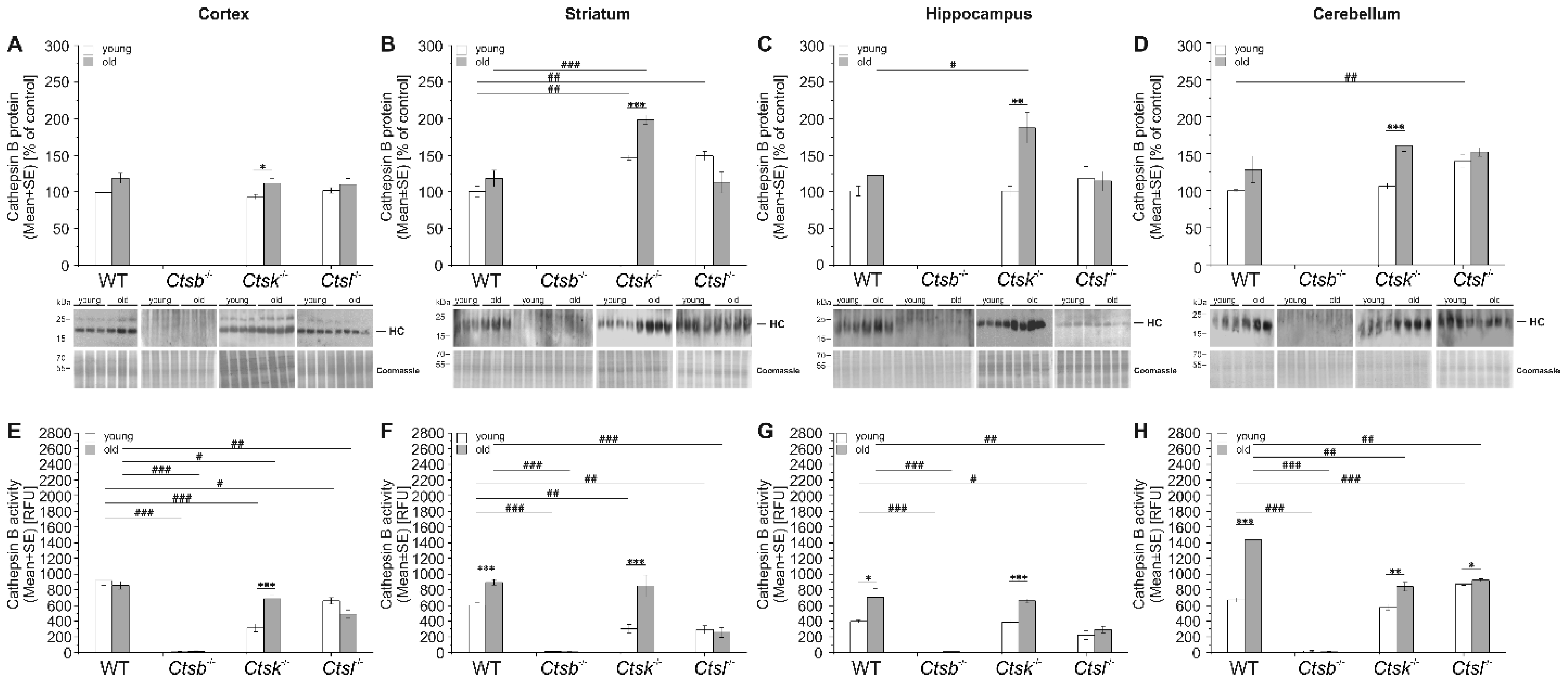 Applsci 12 02608 g004