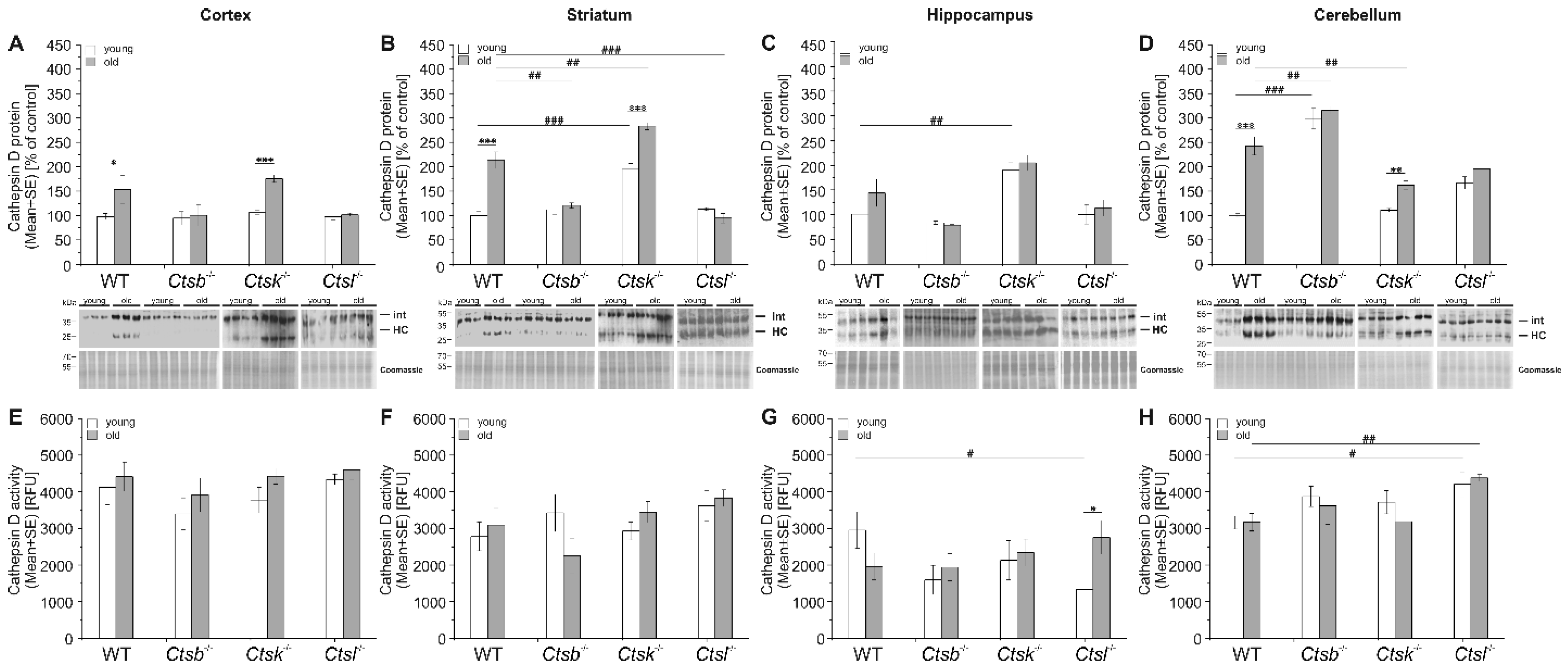 Applsci 12 02608 g005