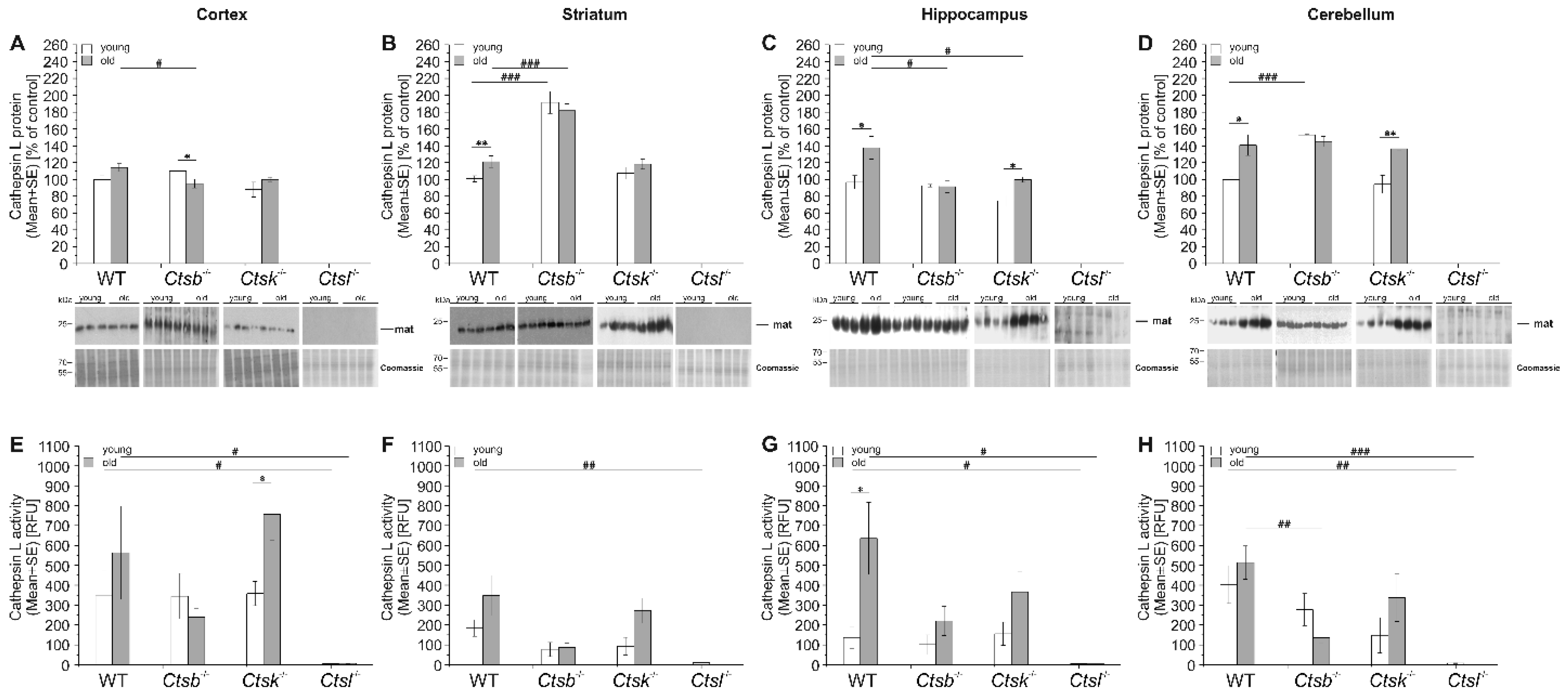 Applsci 12 02608 g006