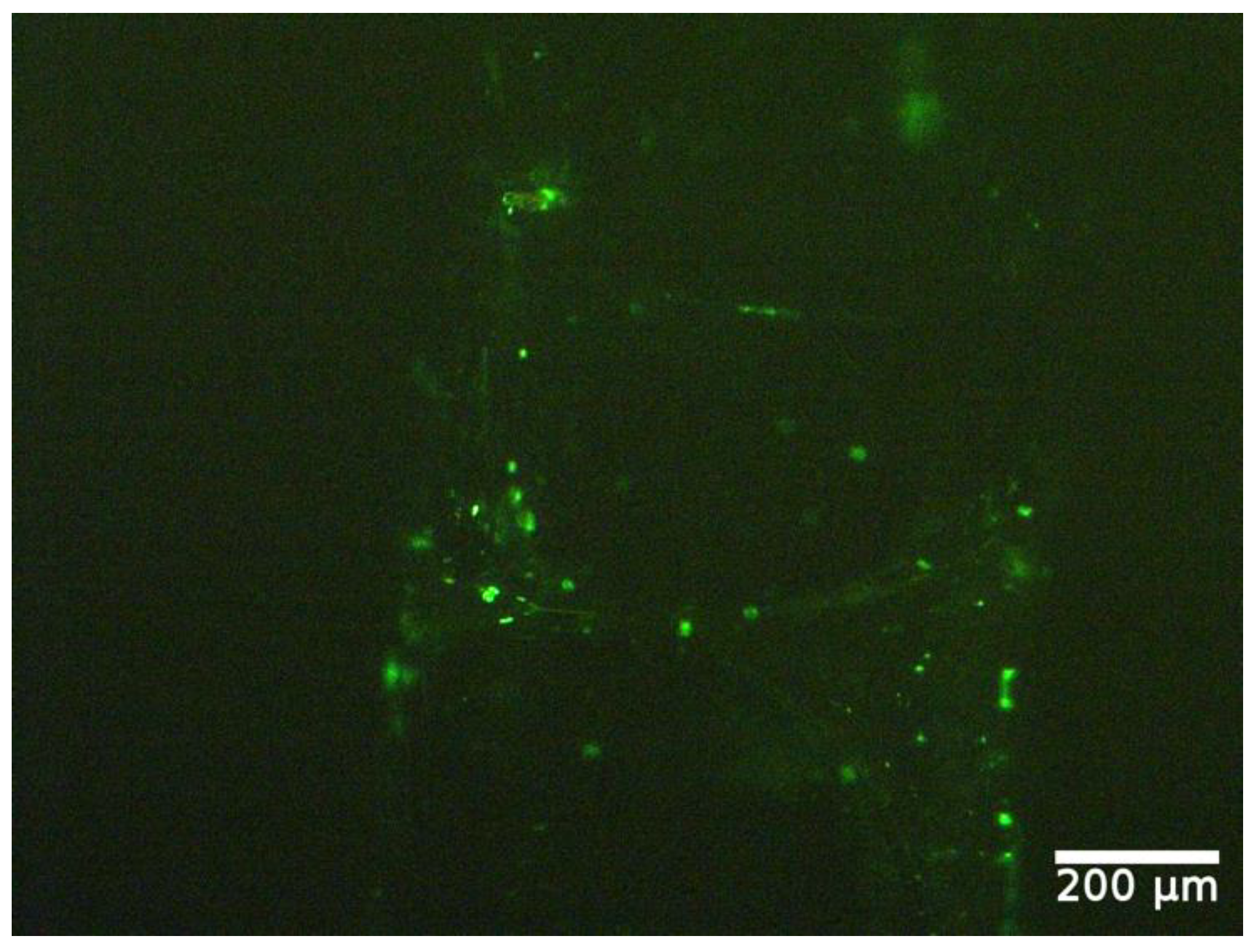 Applsci 12 02617 g011 Applsci 12 02617 g011