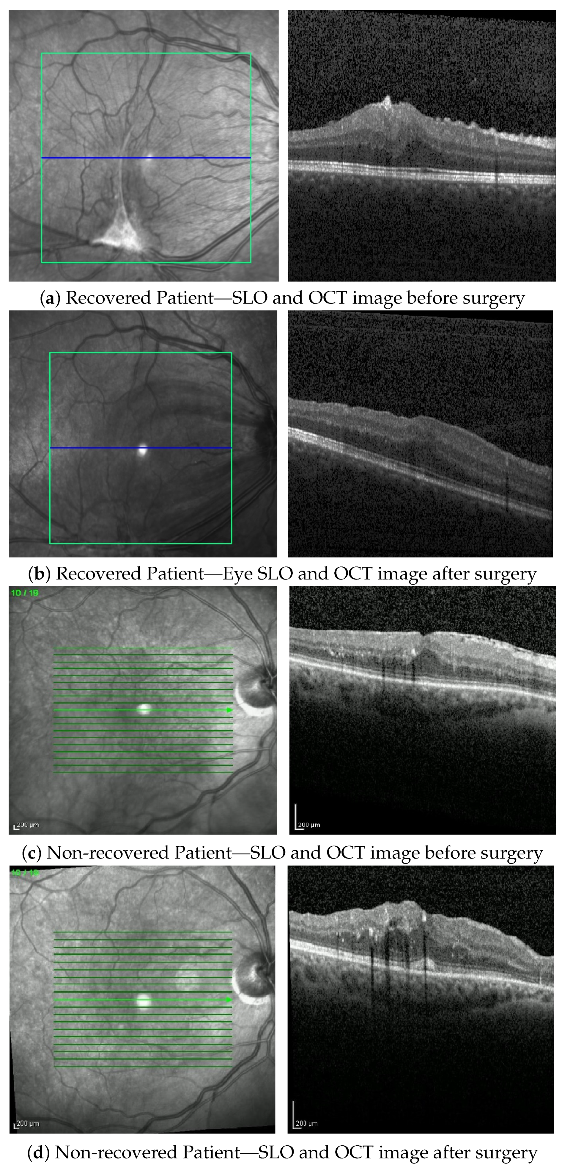Applsci 12 02623 g002
