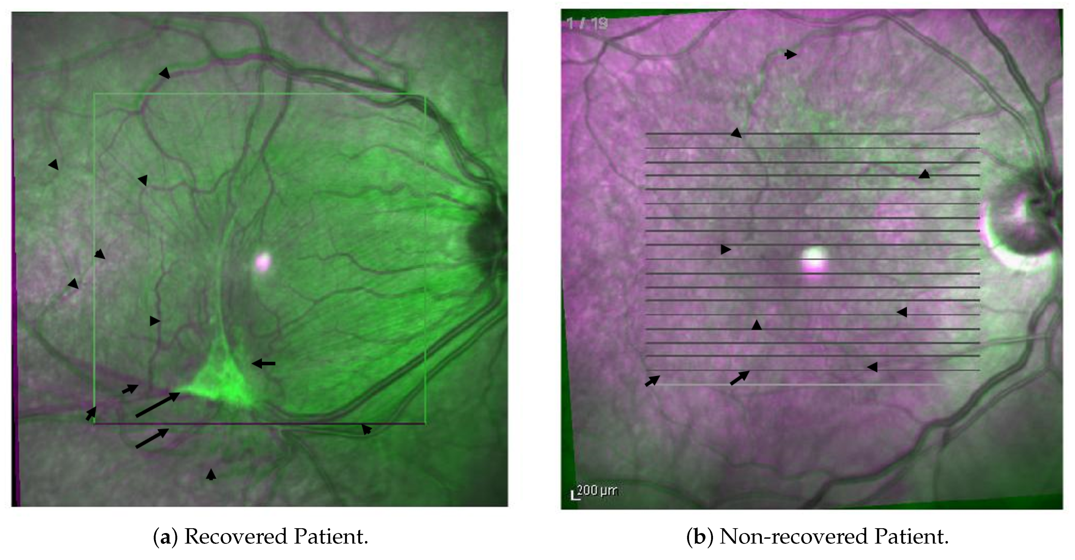 Applsci 12 02623 g003