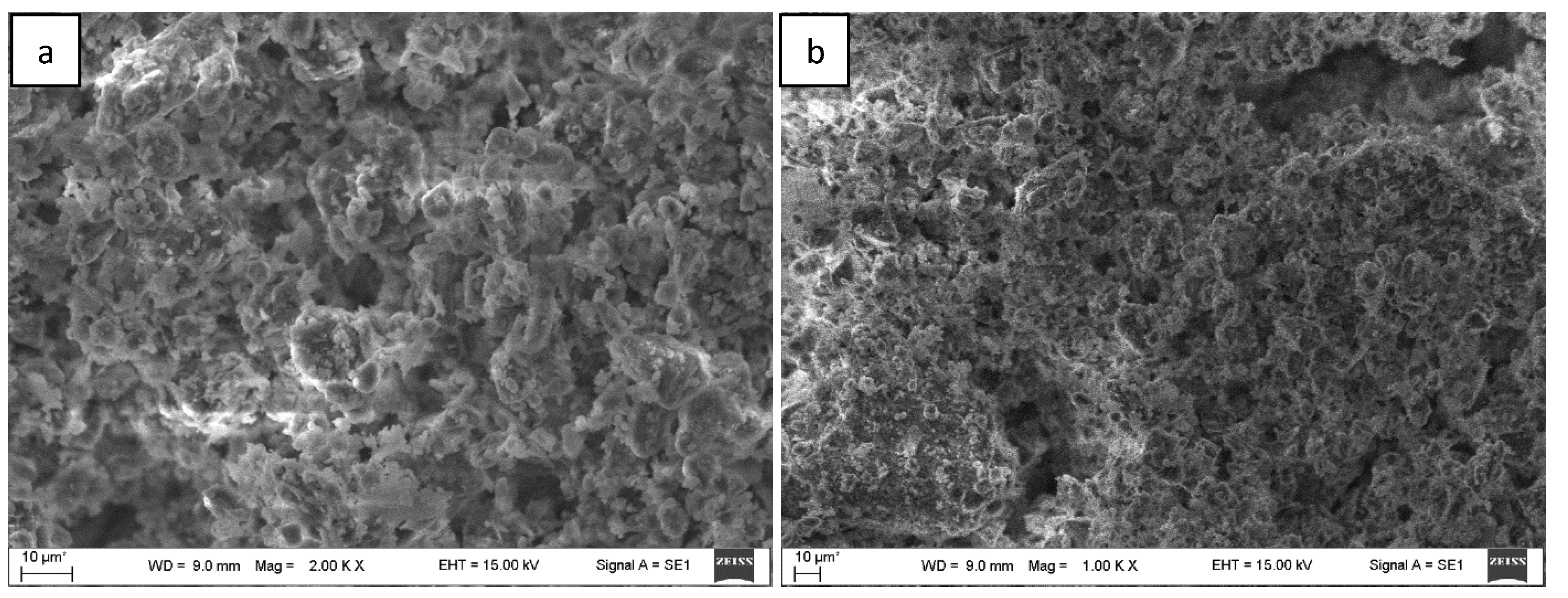 Applsci 12 02624 g006 550