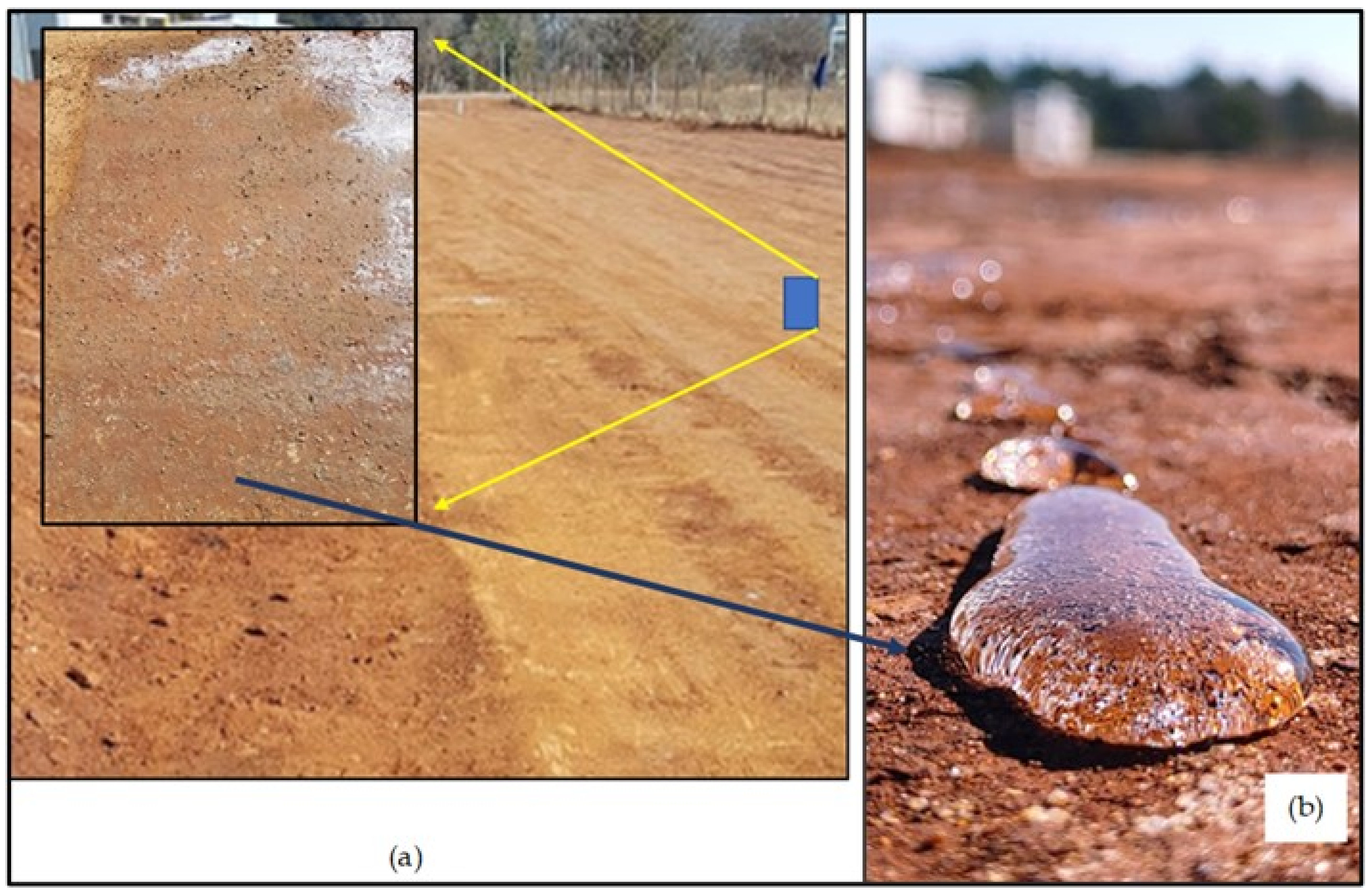 Applsci 12 02628 g006 550