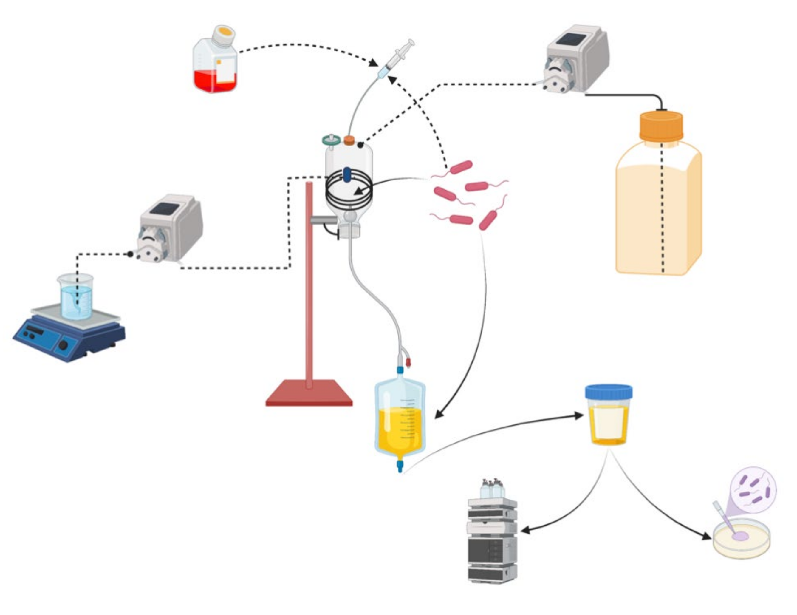 Applsci 12 02635 g002 550