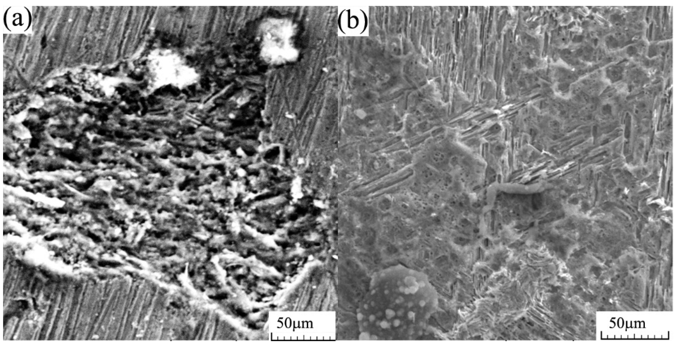 Applsci 12 02727 g007