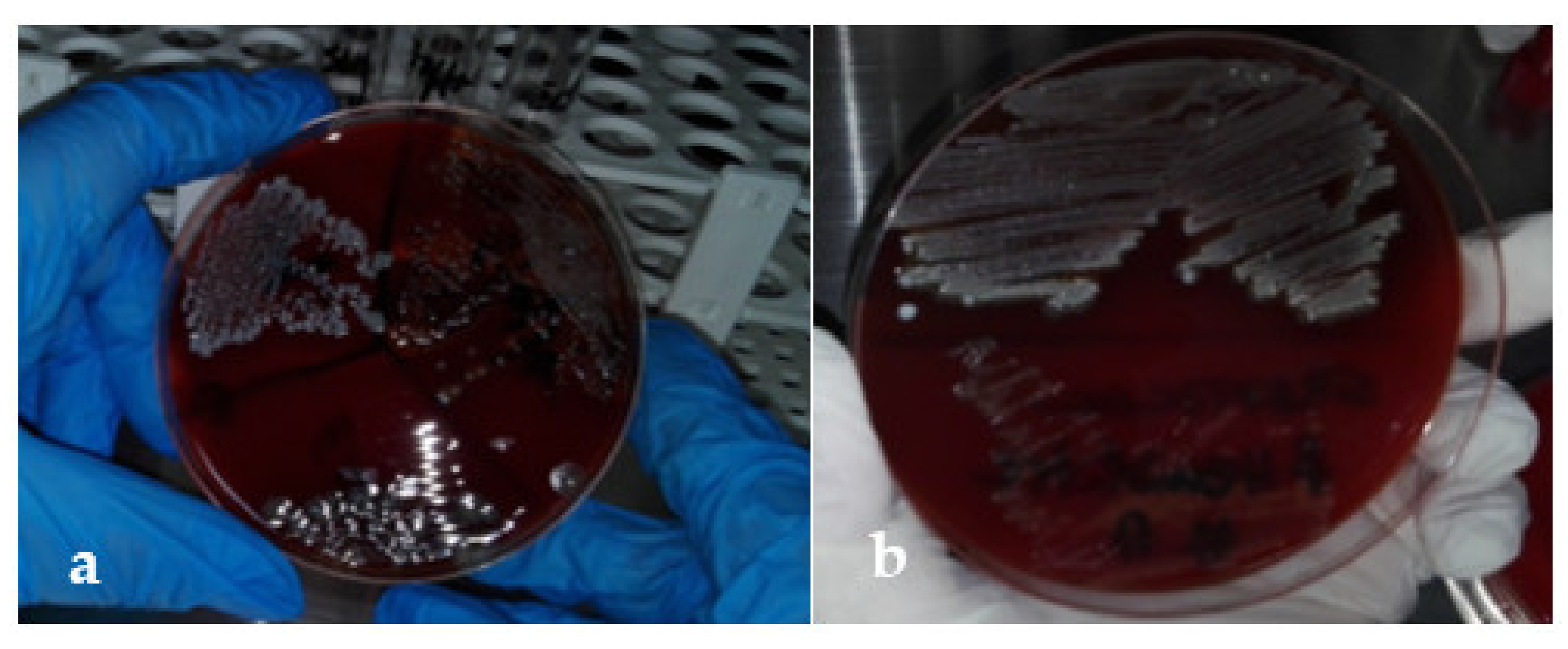 Applsci 12 02751 g001 Applsci 12 02751 g001