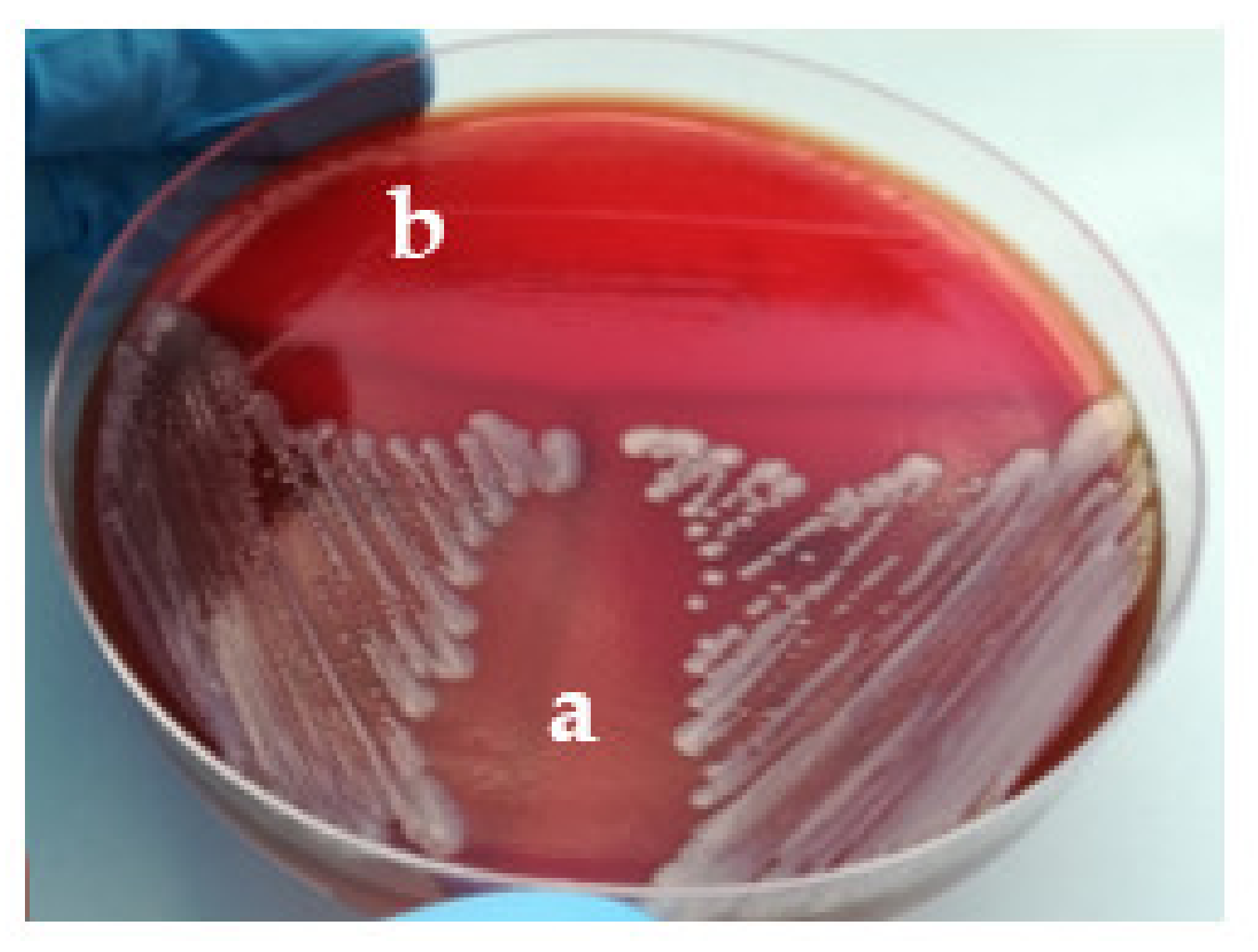 Applsci 12 02751 g003 Applsci 12 02751 g003