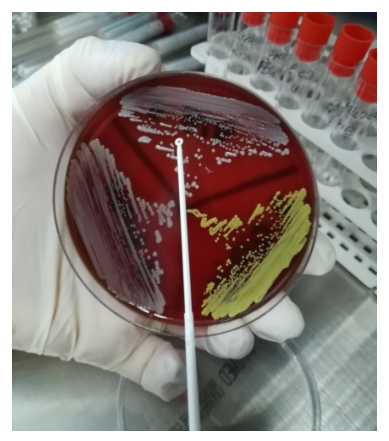 Applsci 12 02751 g005 Applsci 12 02751 g005