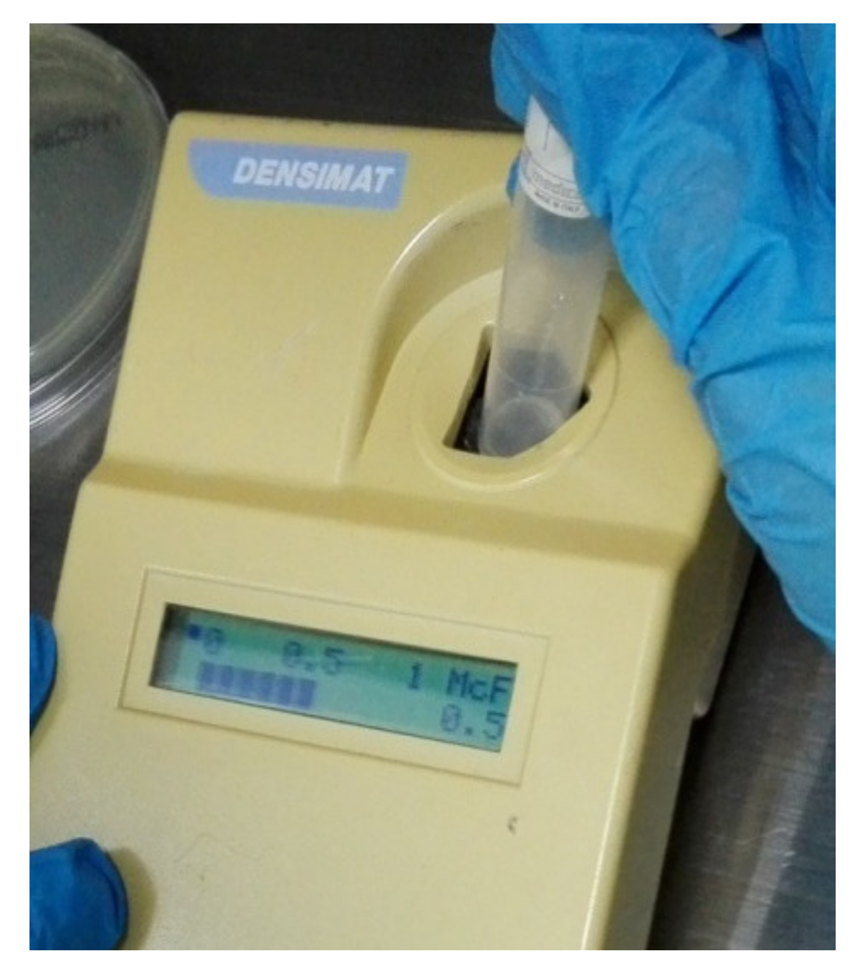 Applsci 12 02751 g006 Applsci 12 02751 g006