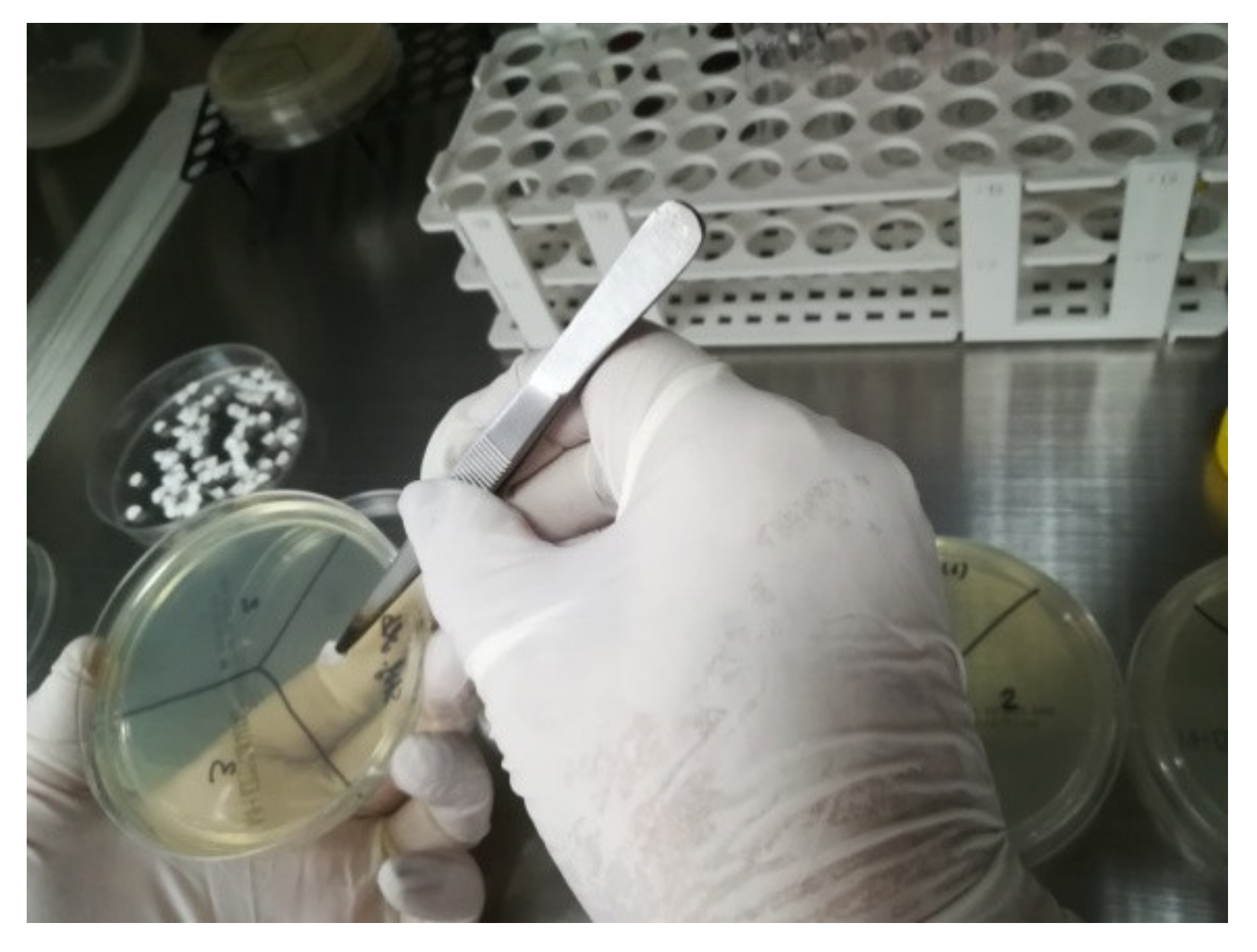 Applsci 12 02751 g007 Applsci 12 02751 g007