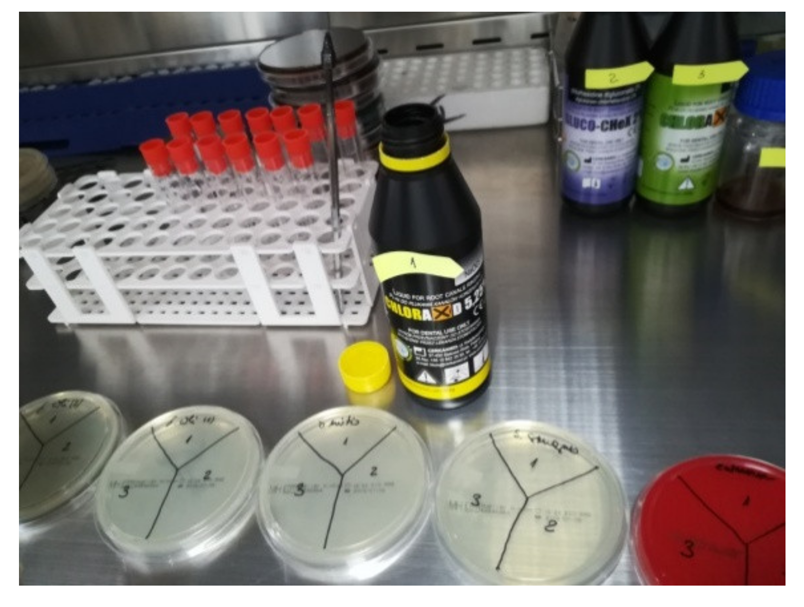 Applsci 12 02751 g008 Applsci 12 02751 g008