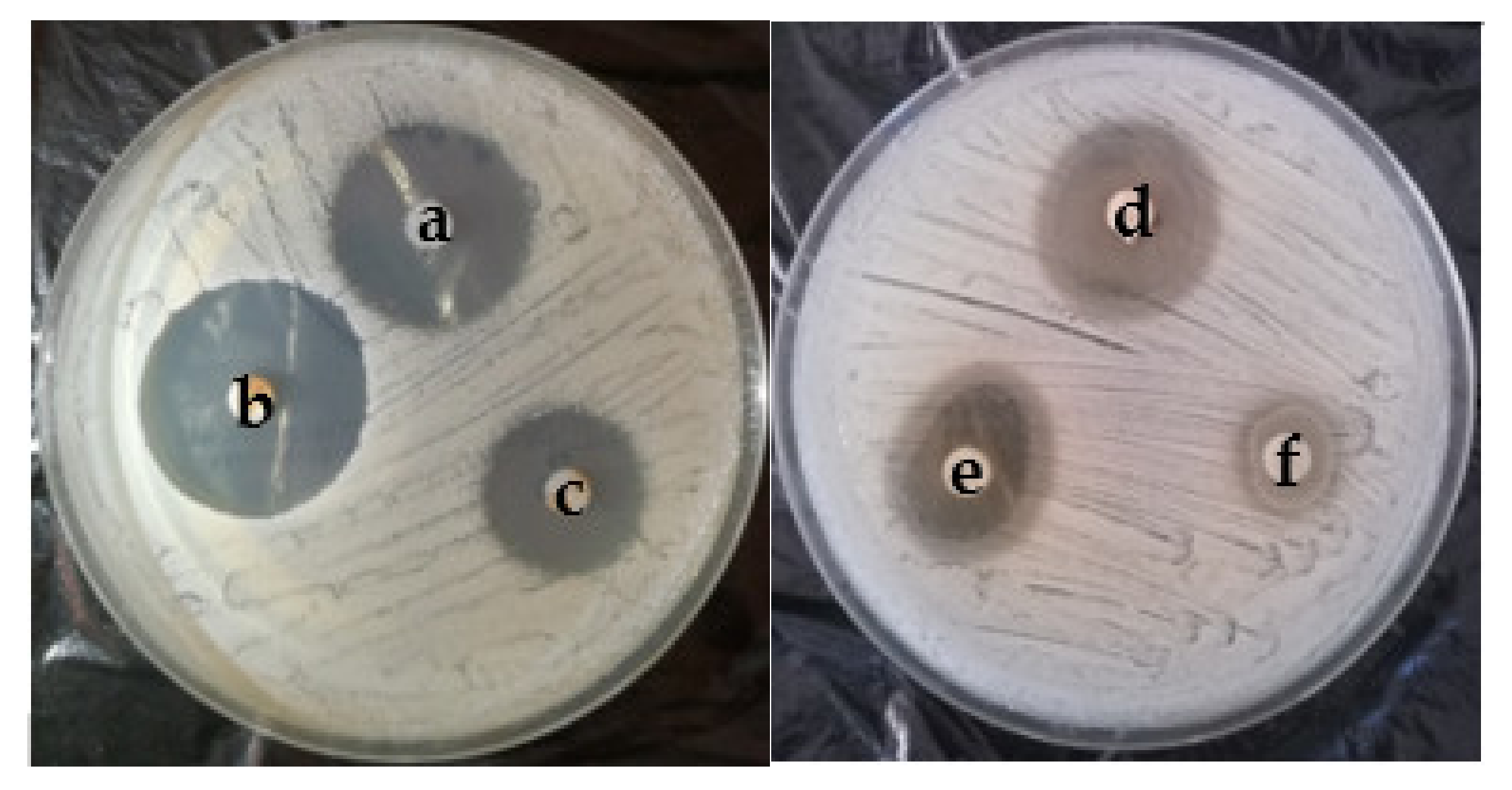 Applsci 12 02751 g009 Applsci 12 02751 g009