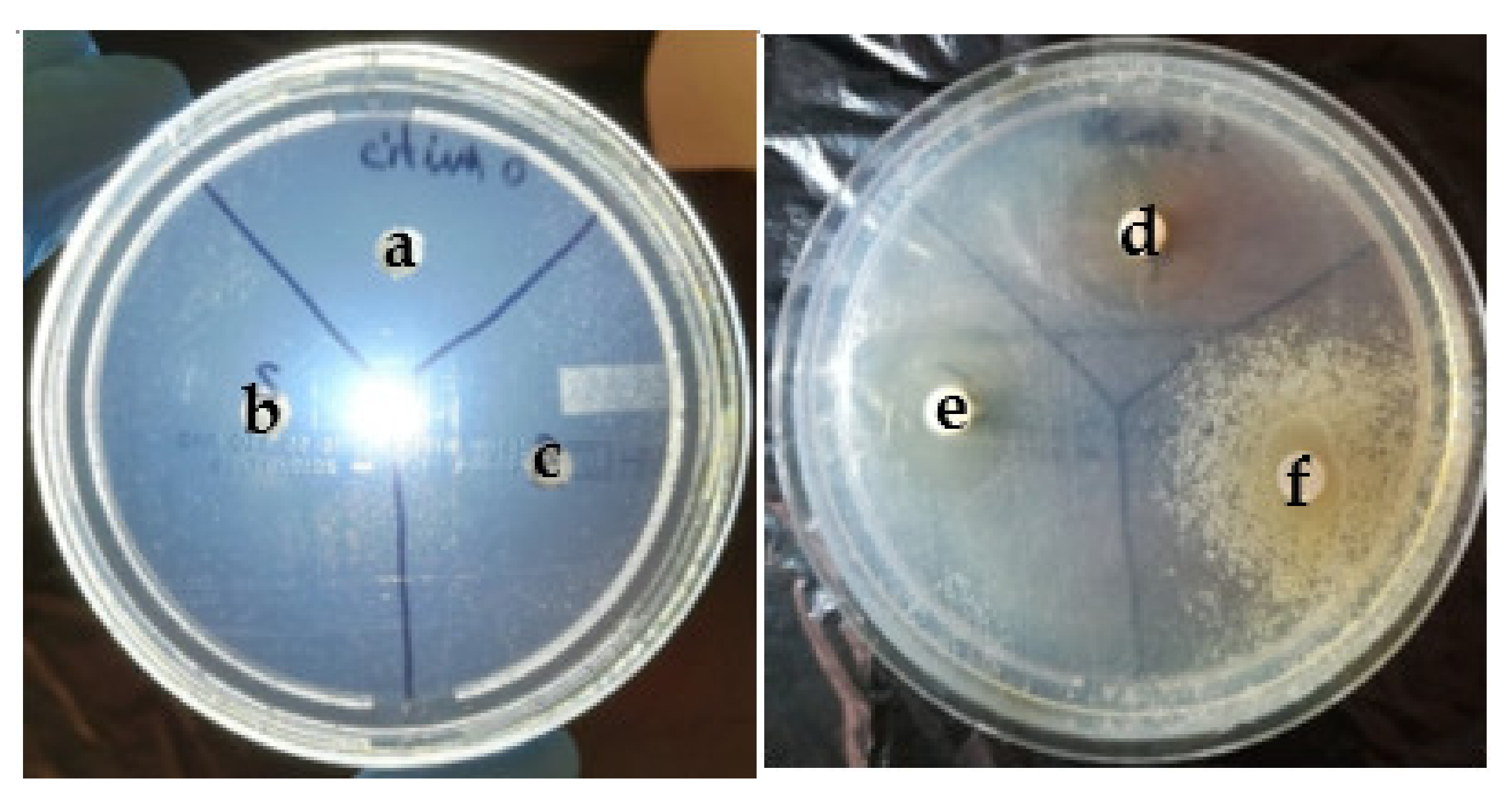 Applsci 12 02751 g010 Applsci 12 02751 g010