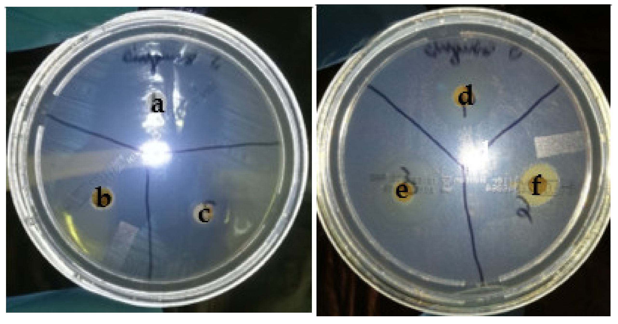 Applsci 12 02751 g011 Applsci 12 02751 g011