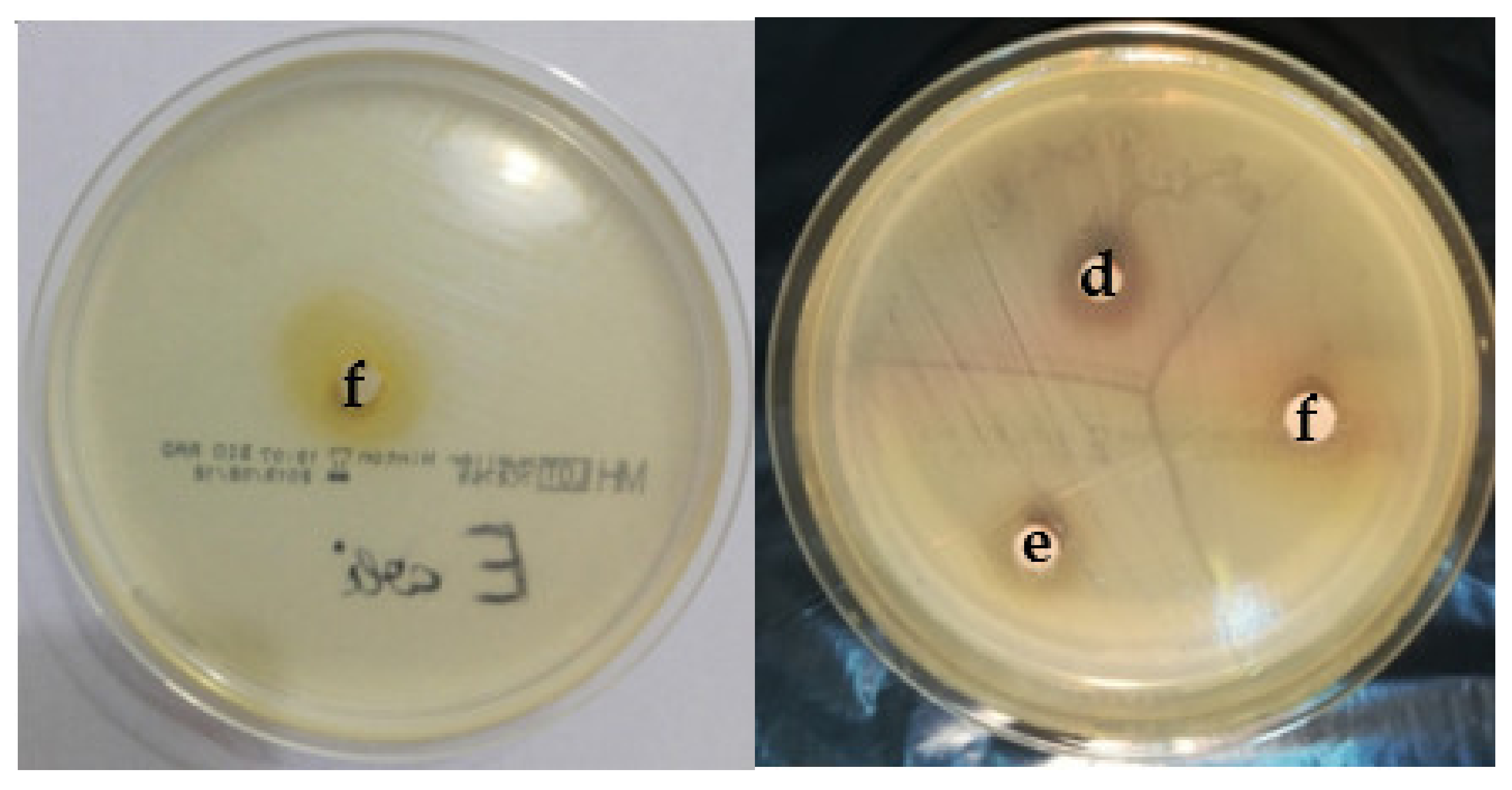 Applsci 12 02751 g012 Applsci 12 02751 g012