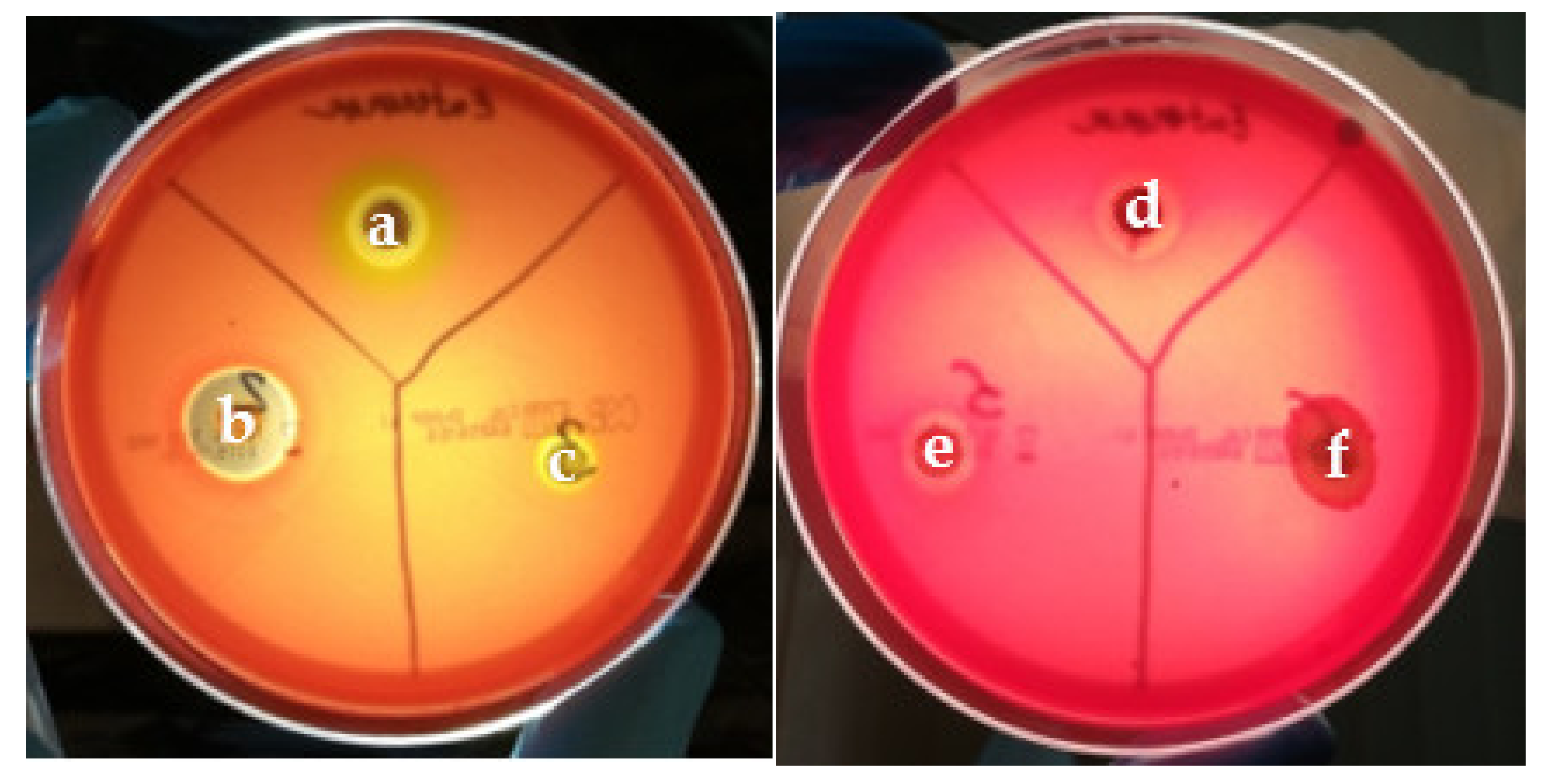 Applsci 12 02751 g013 Applsci 12 02751 g013