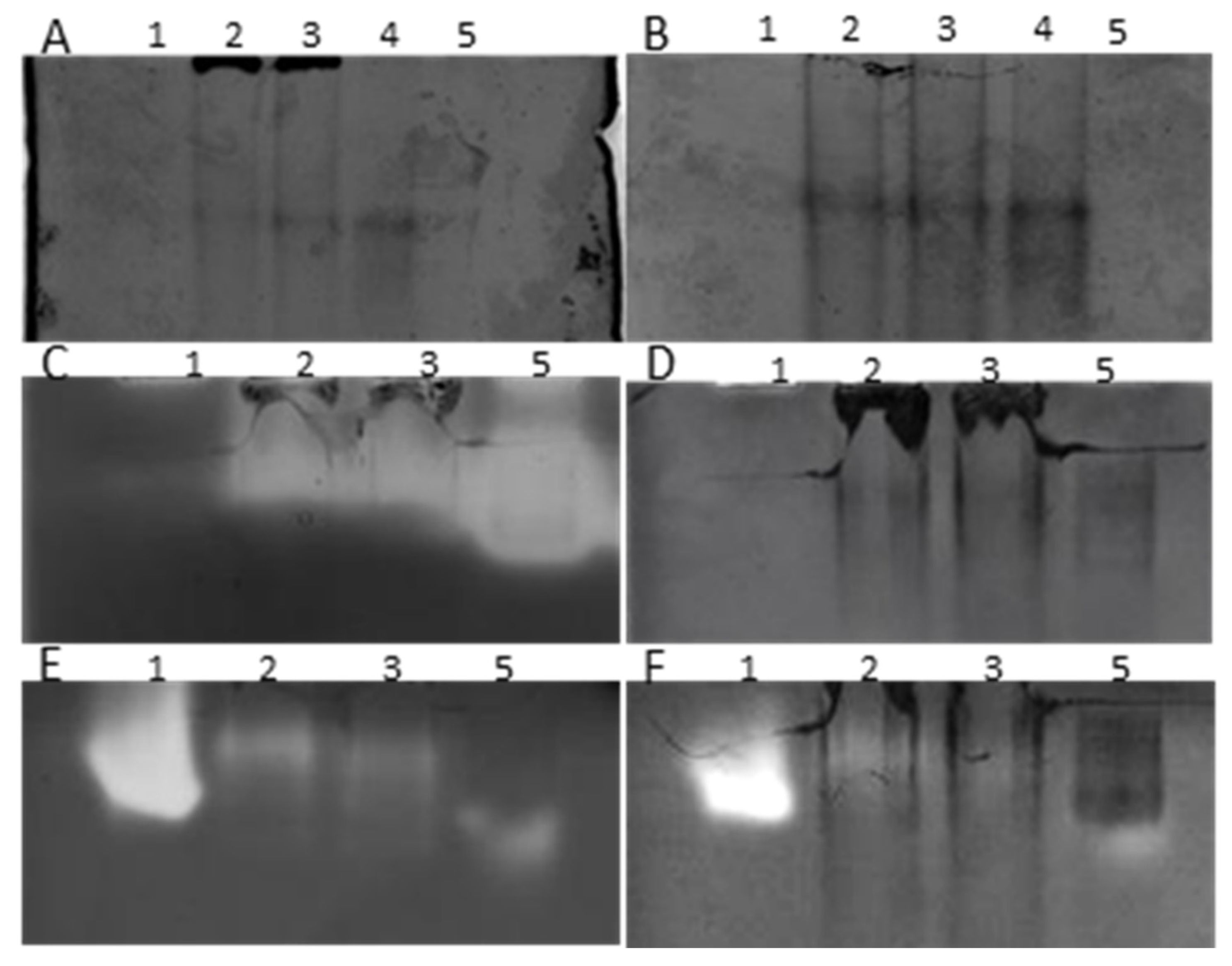 Applsci 12 02760 g003