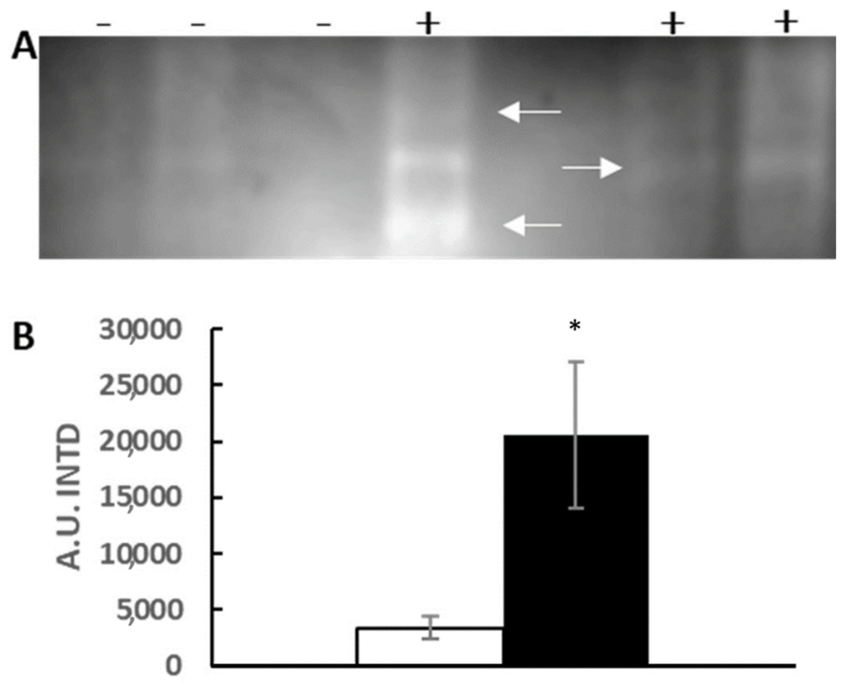 Applsci 12 02760 g007