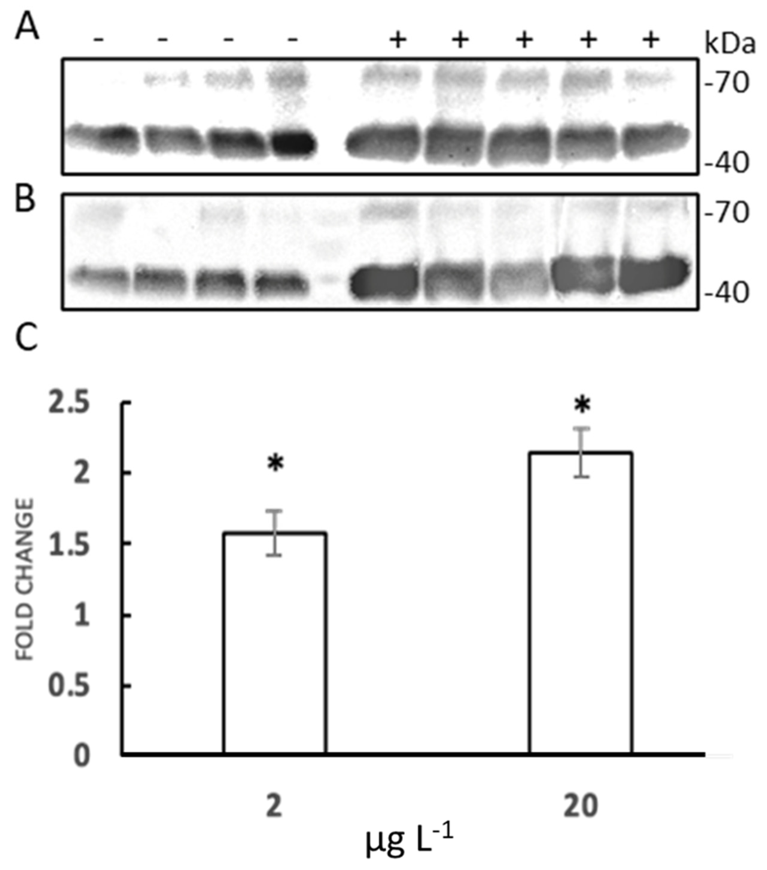 Applsci 12 02760 g008