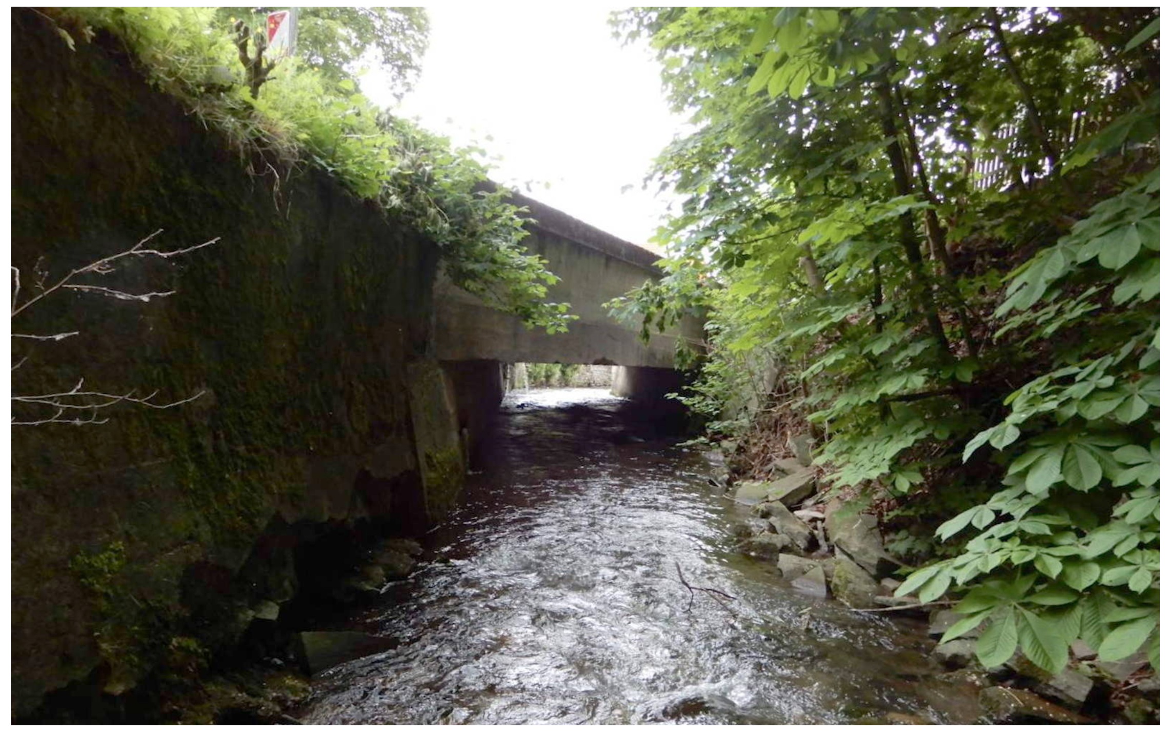 Applsci 12 02772 g009