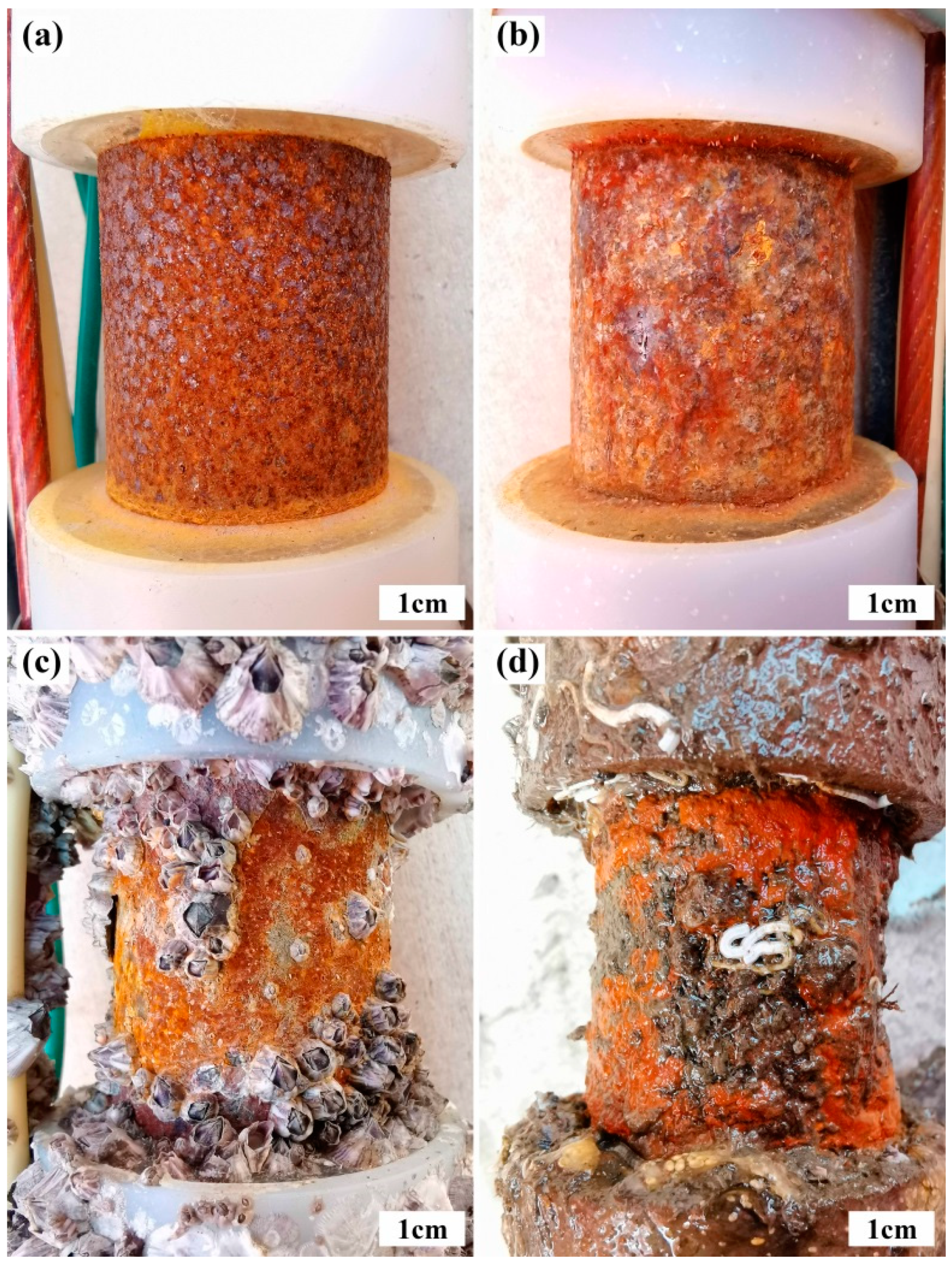 Applsci 12 02785 g005