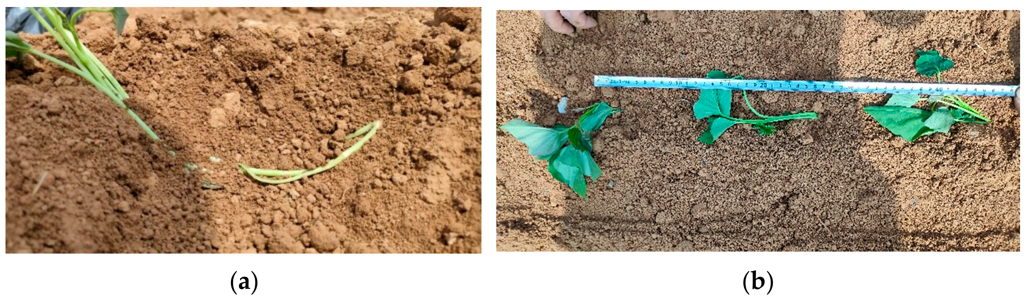 Applsci 12 02817 g011 550