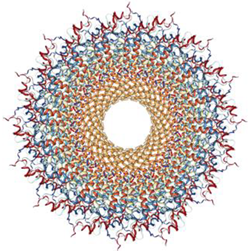 Applsci 12 02818 i044