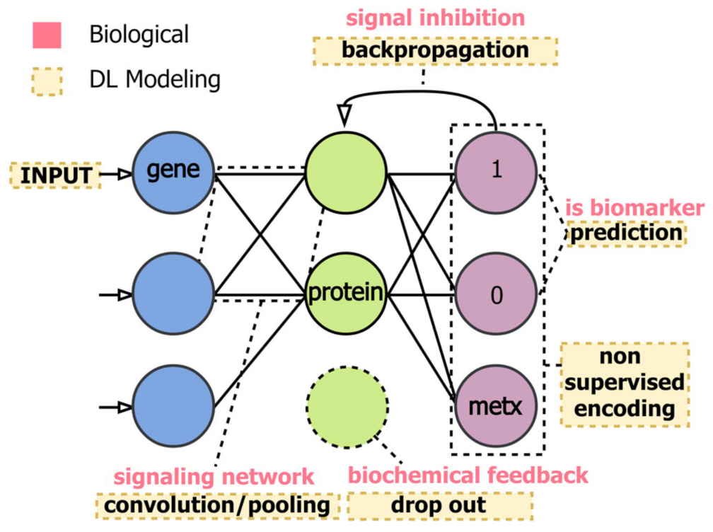 Applsci 12 02824 g023 550