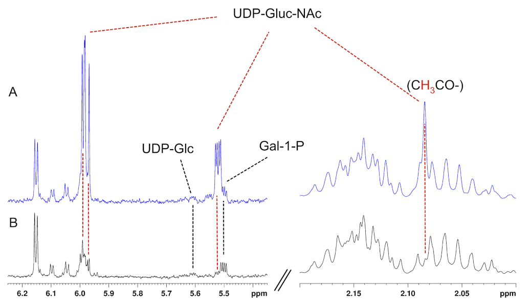 Applsci 12 02824 g0a4 550