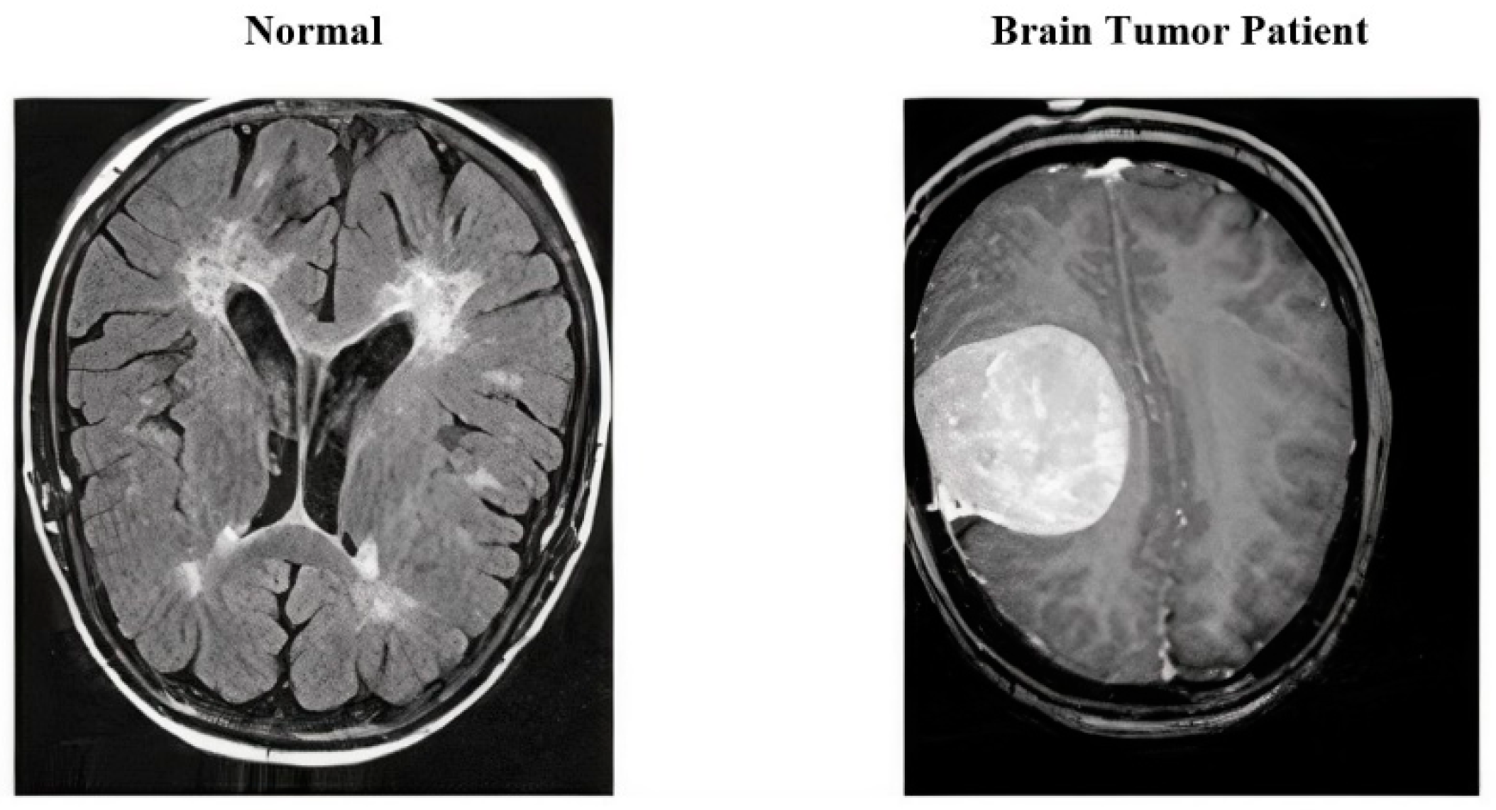 Applsci 12 02900 g001 550