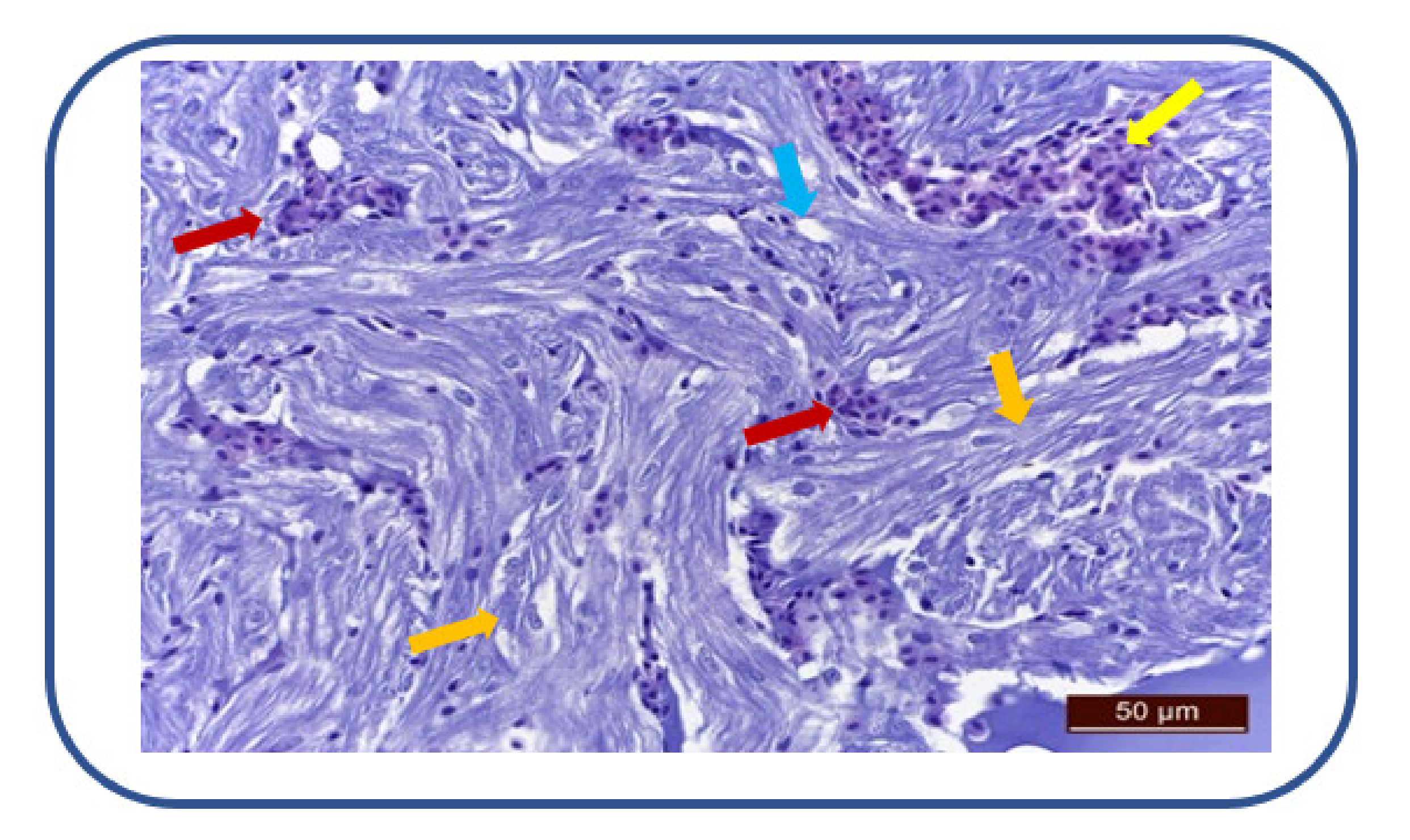 Applsci 12 02908 g008 Applsci 12 02908 g008