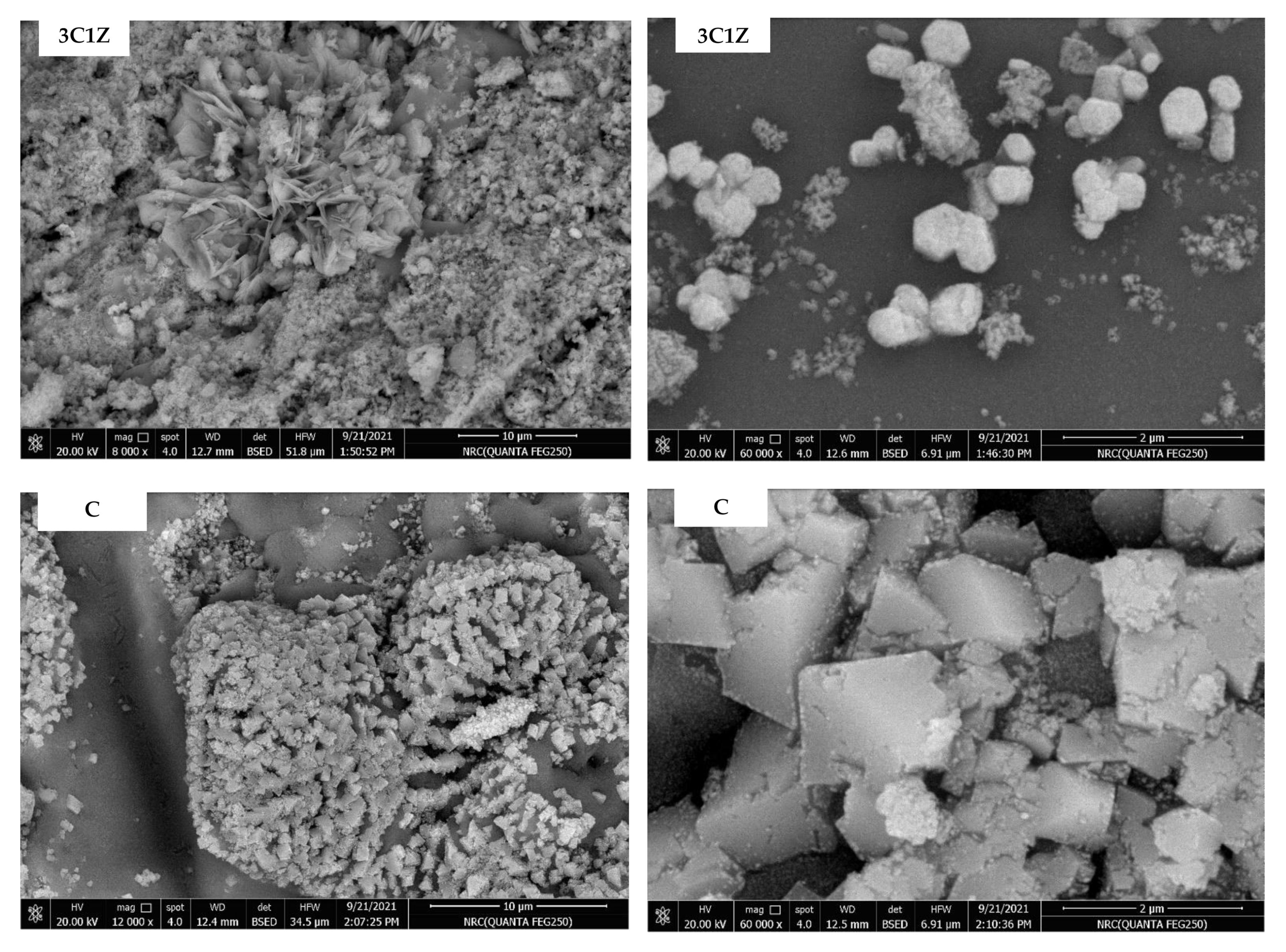 Applsci 12 02910 g003b