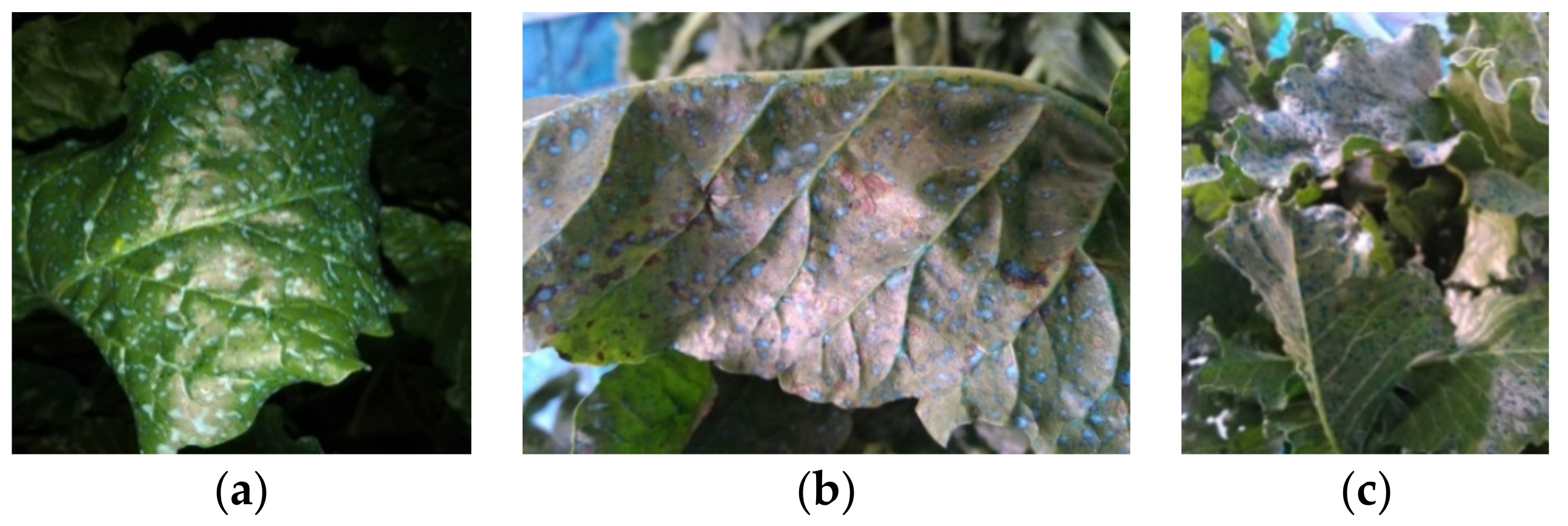 Applsci 12 02911 g002