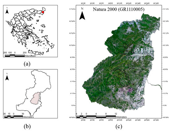 Forest-GIS » Como passar informações de um raster para um layer de