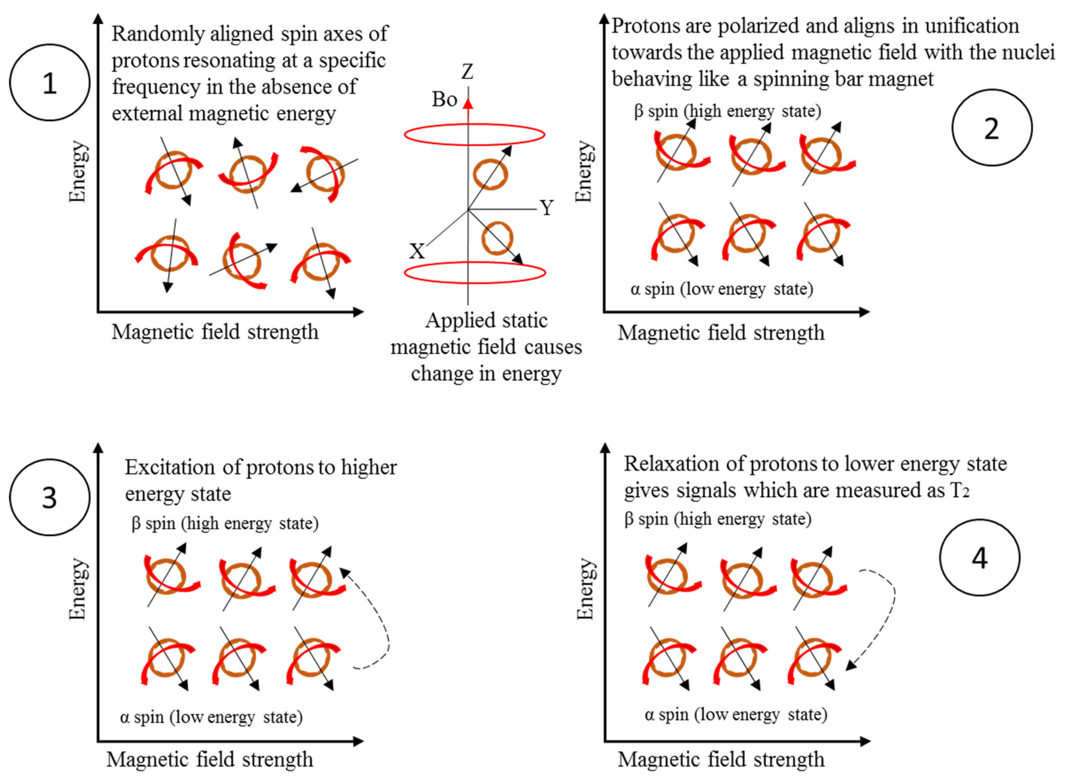 語学+参考書 Ten Physical Applications of Spectral Zeta Functions (Lecture Notes in Physics) Spectral Zeta Functions - YouTube
