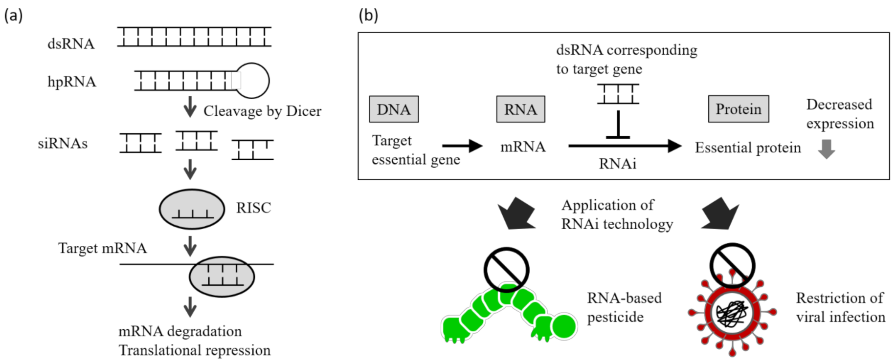 Applsci 12 02954 g001