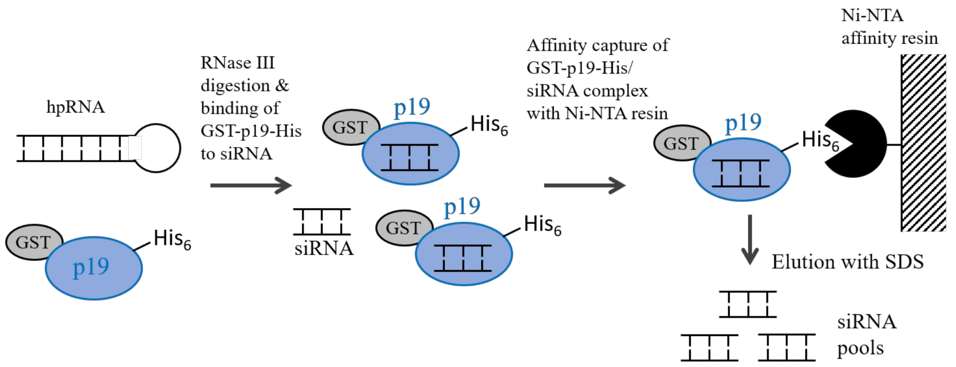 Applsci 12 02954 g003