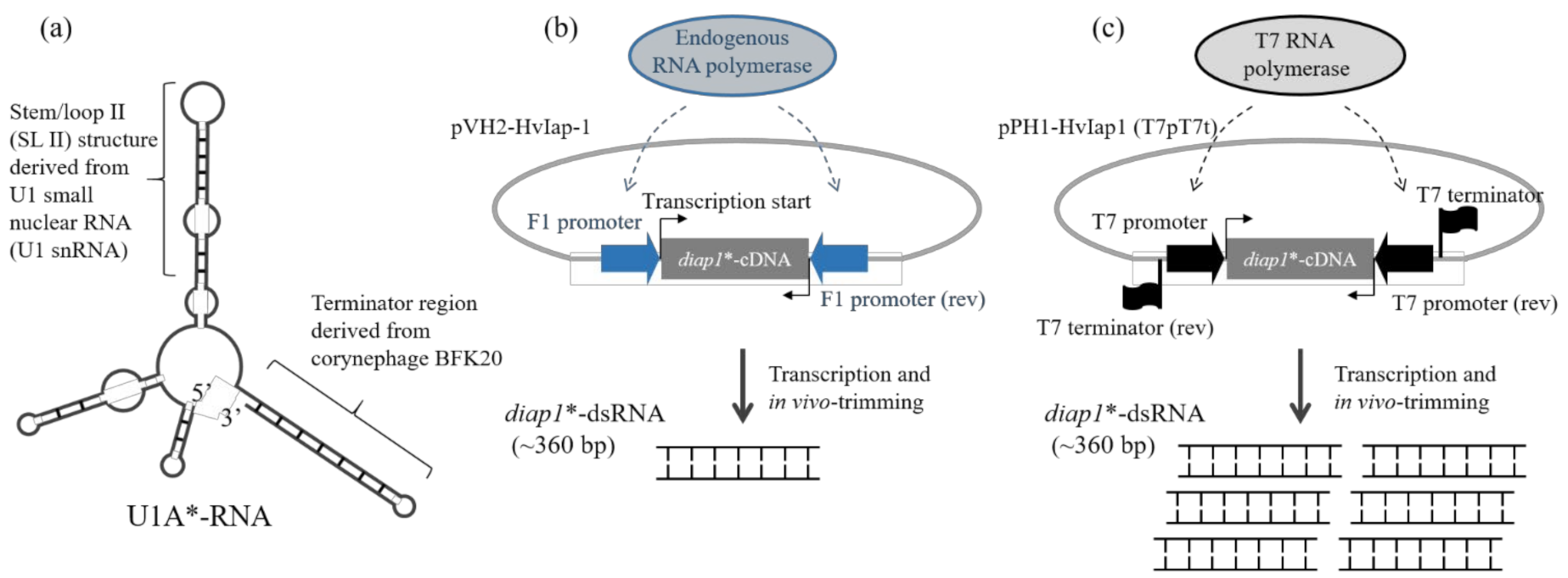 Applsci 12 02954 g005