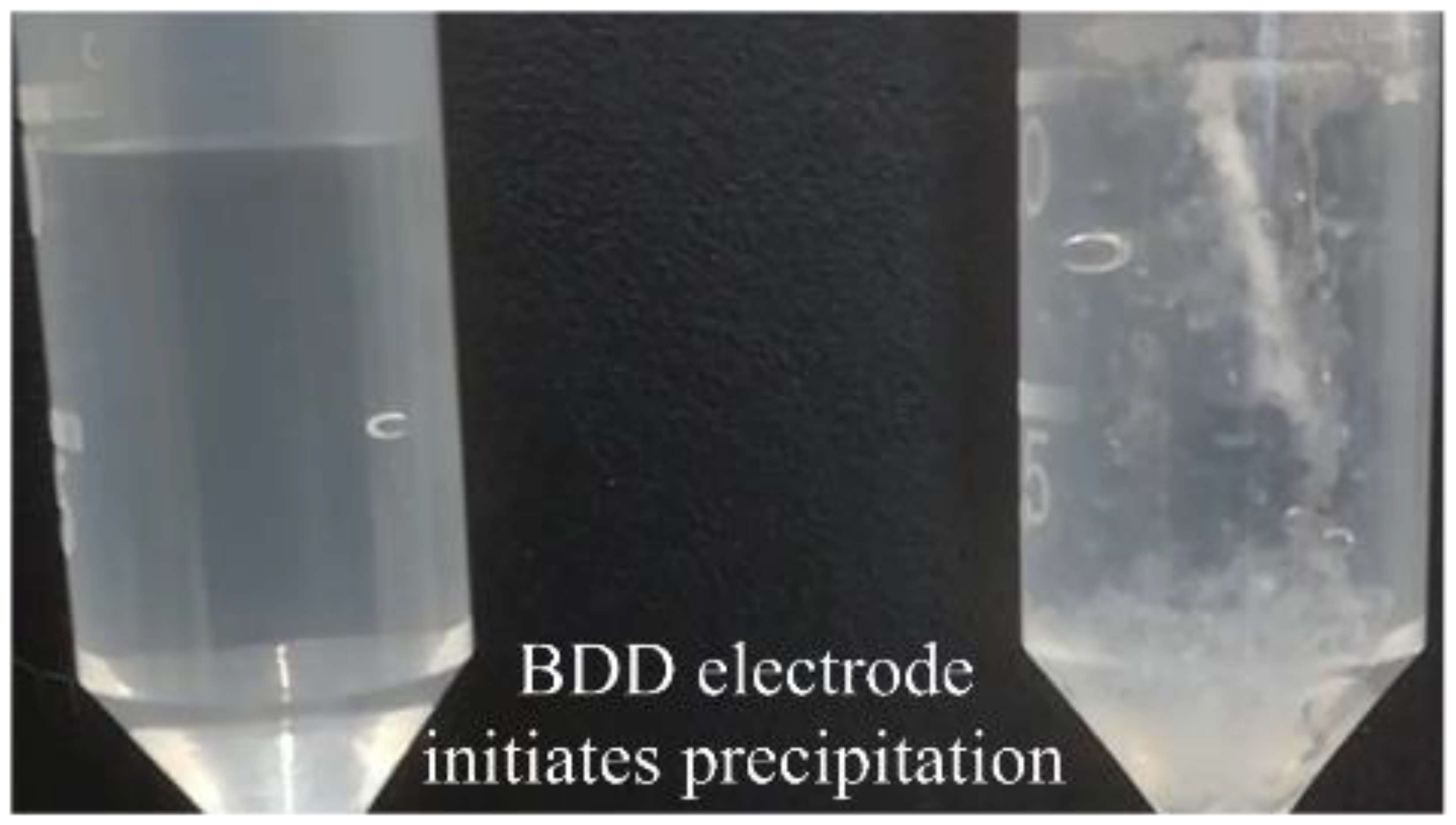 Applsci 12 02956 g004