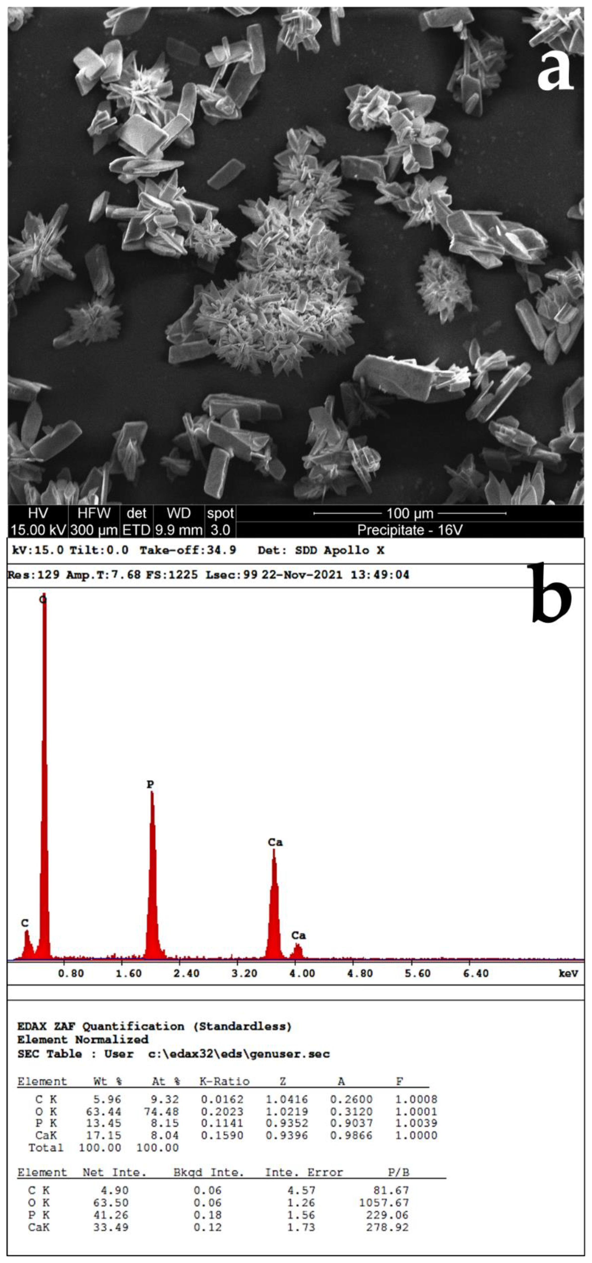 Applsci 12 02956 g006