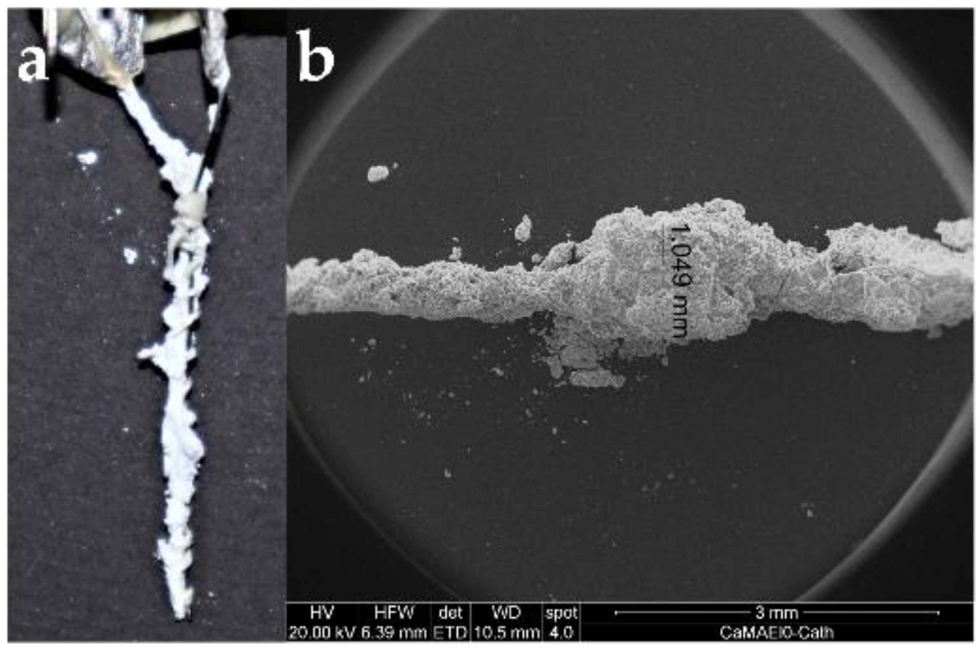 Applsci 12 02956 g009