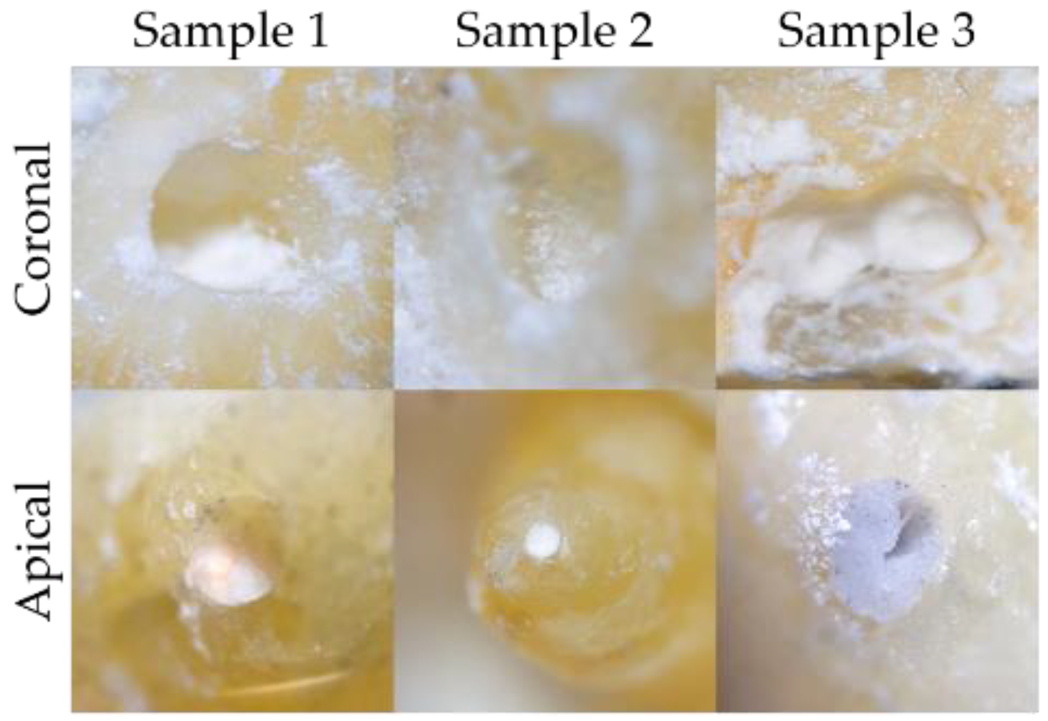 Applsci 12 02956 g010