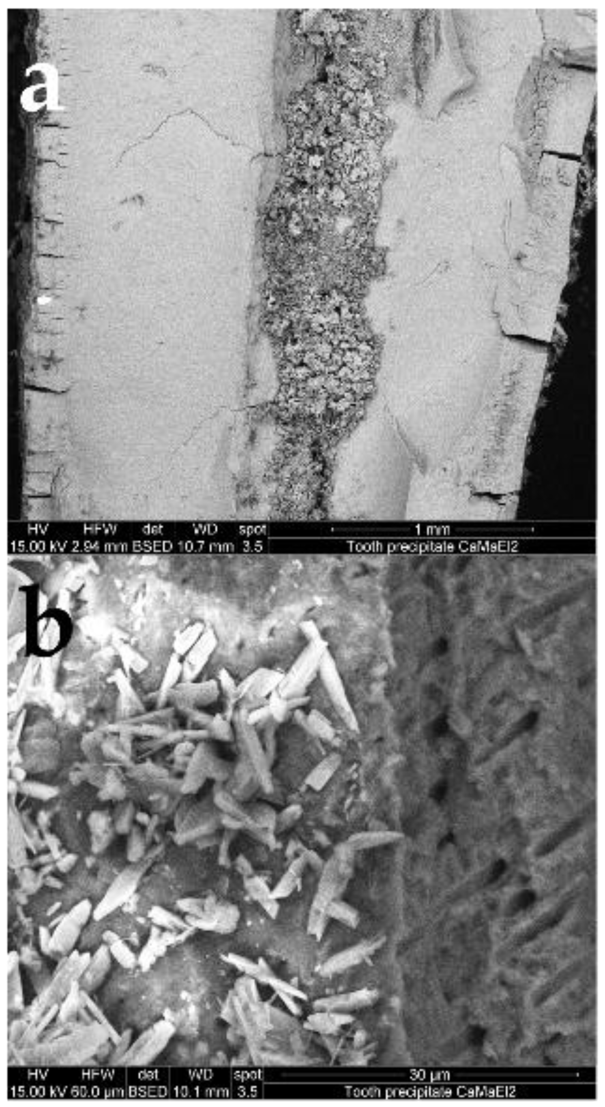 Applsci 12 02956 g011